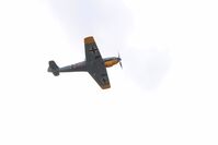 D-FEML photo, click to enlarge