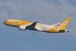 9V-OFL @ LOWW - Scoot 787-9 - by Andy Graf