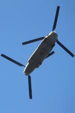  photo, click to enlarge