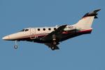 UR-NST @ LOWW - Untitled Beech 390