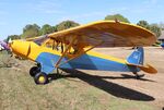 N5366U @ FD88 - Anderson Cub Special Replica - by Mark Pasqualino
