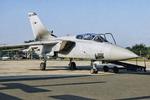 ZE810 @ EGVA - ZE810 1988 BAe Tornado F3 RAF RIAT Fairford