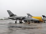 ZE254 @ EGDR - ZE254 1987 Panavia Tornado F3 RAF RNAS Culdrose 
