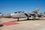 ZH556 @ EGXJ - ZH556 1993 Panavia Tornado F3 RAF RIAT Cottismore 28.07.01A.jpg
