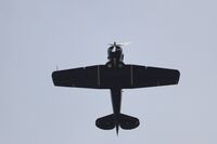 D-FHGV @ EDST - D-FHGV at the Hahnweide OTT 2025 - by Ingo Frerichs