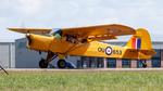 N16653 @ KLAL - Auster A-61 - by AviationLover50