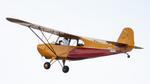 N82919 @ KLAL - Aeronca 7AC - by AviationLover50