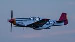 N61429 @ KLAL - P-51C - by AviationLover50