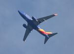 N219WN @ KDTW - SWA 737 nc zx stl-dtw - by Florida Metal