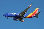 N246LV @ KTPA - SWA 737 nc zx bdl-tpa - by Florida Metal