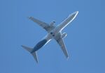 N266AK @ KDTW - ASA 739 zx dtw-sea - by Florida Metal