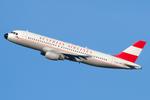 OE-LBP photo, click to enlarge