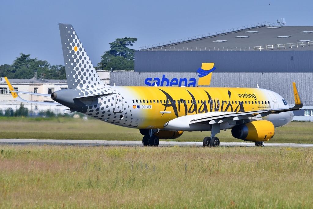 EC-MEA photo, click to enlarge