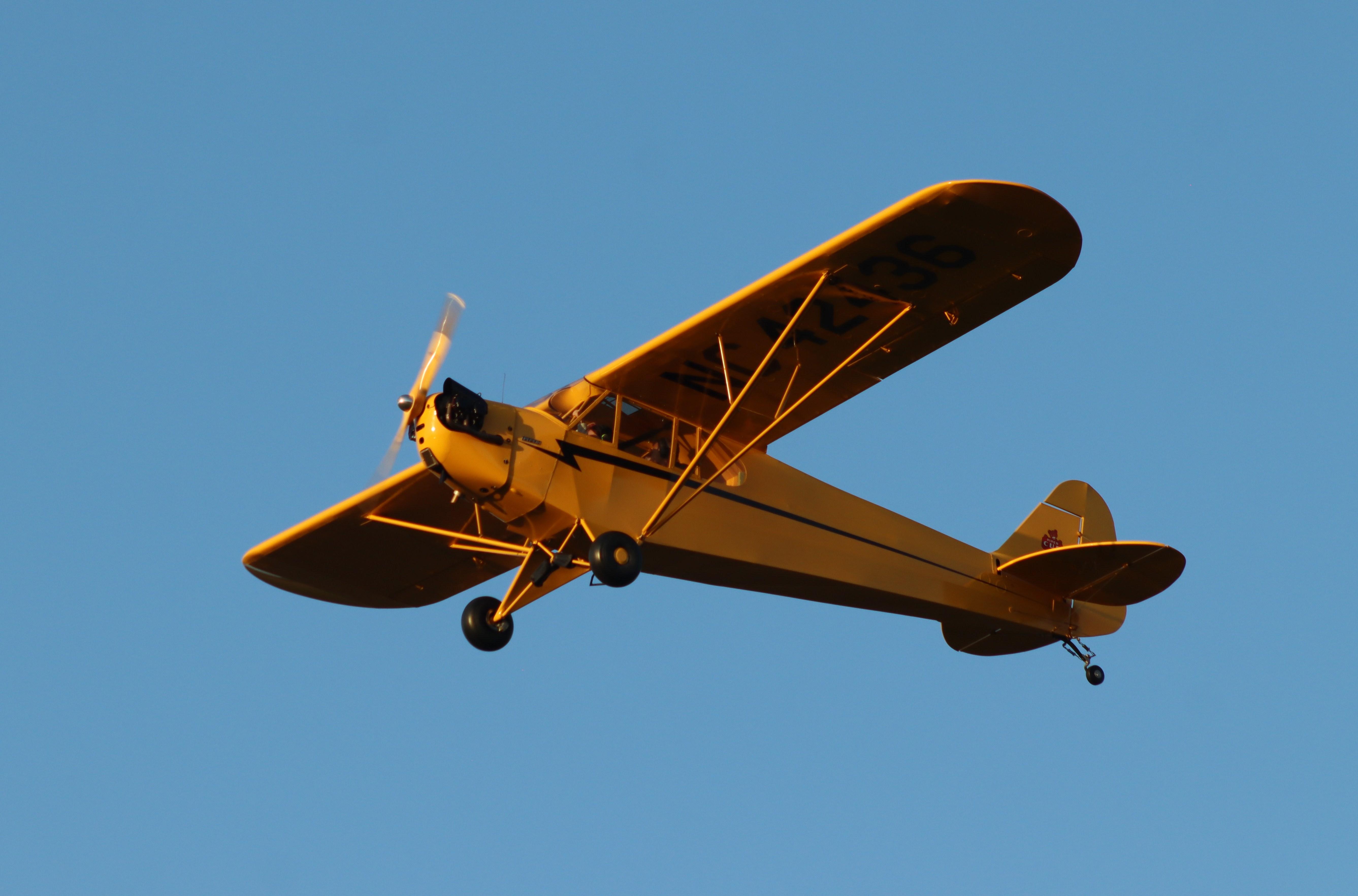 N42436 @ C77 - Piper J3C-65 - by MarkPasqualino