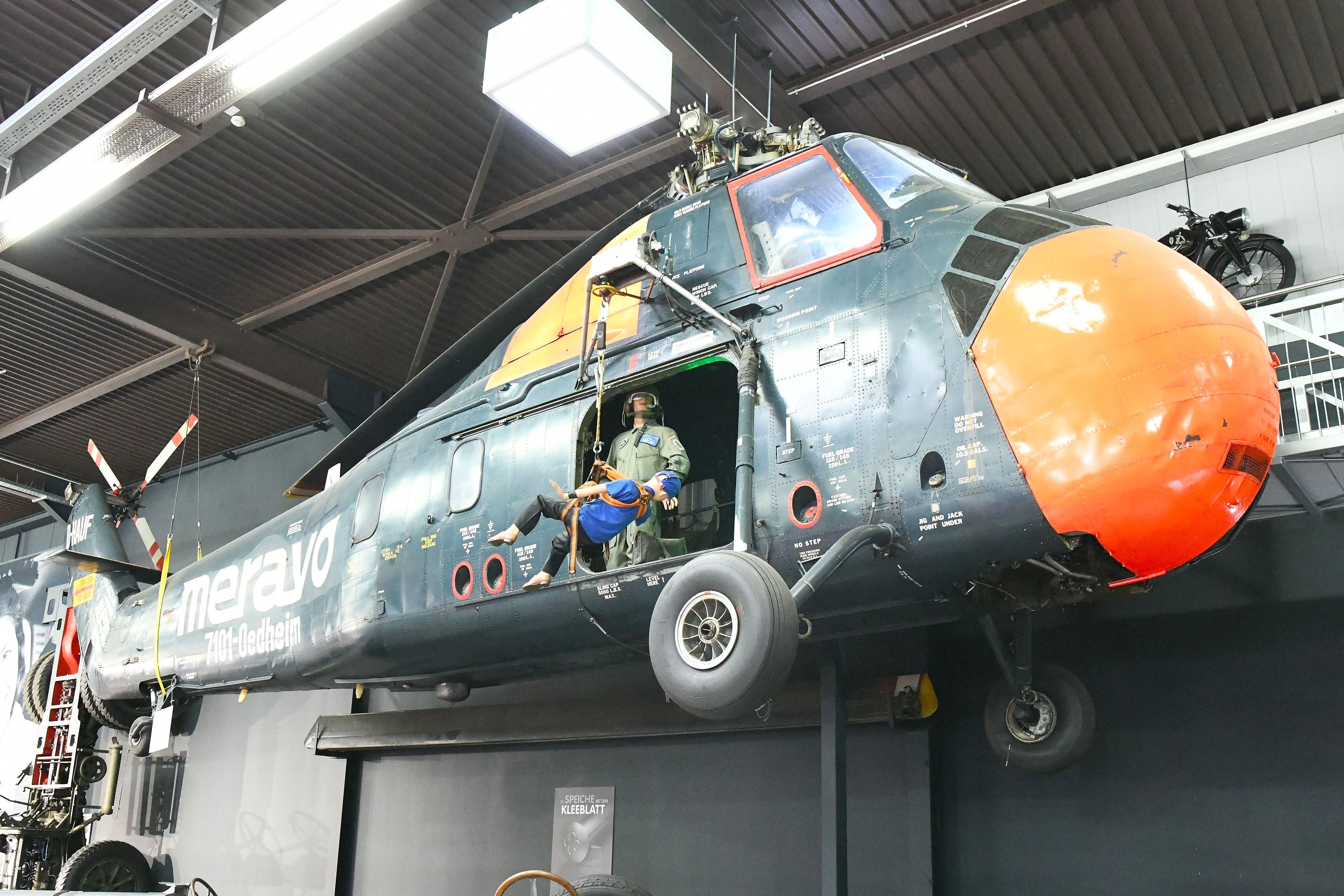 D-HAUF @ EDMY - Hanging from the roof indoors at Sinsheim - by FerryPNL