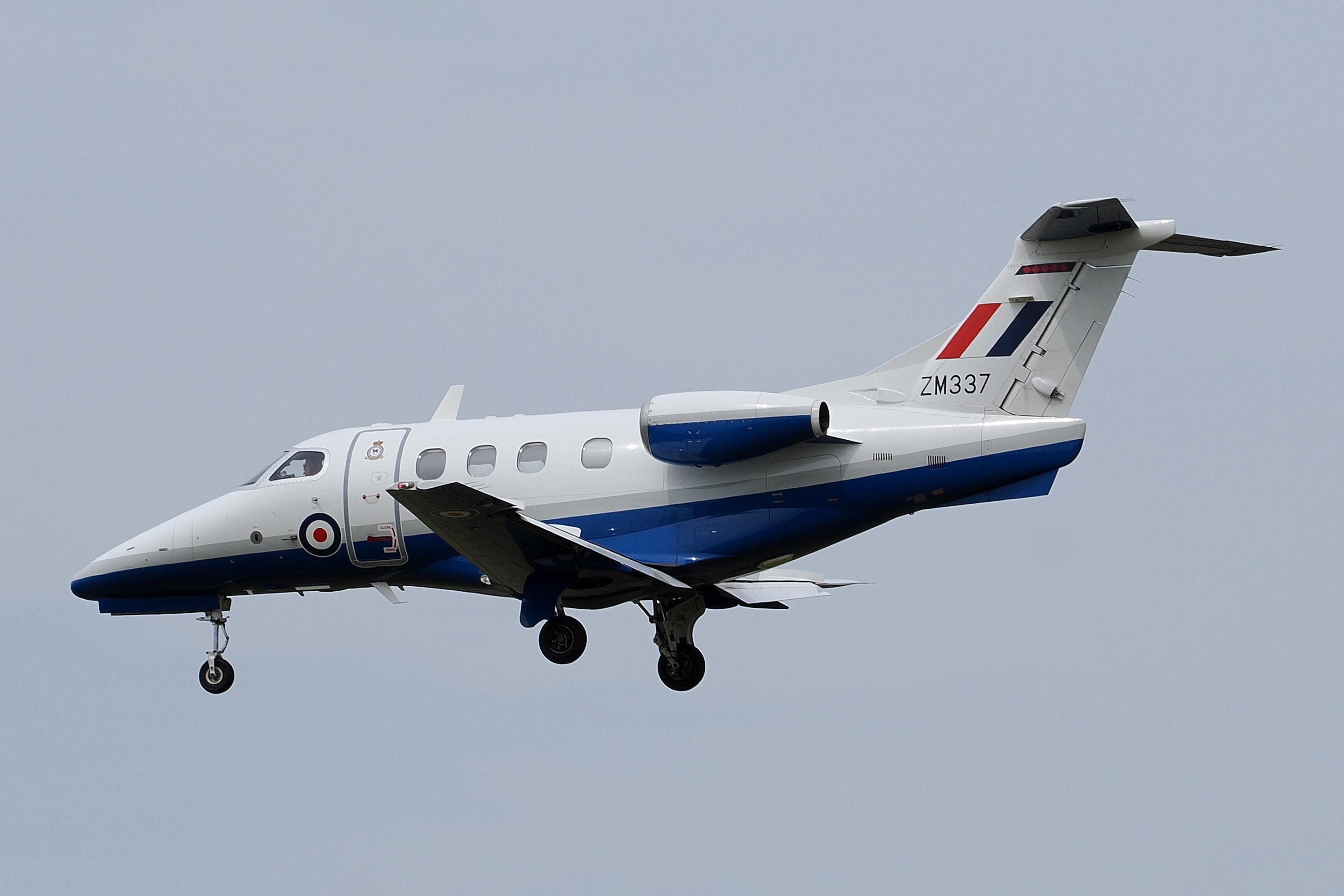 ZM337 photo, click to enlarge