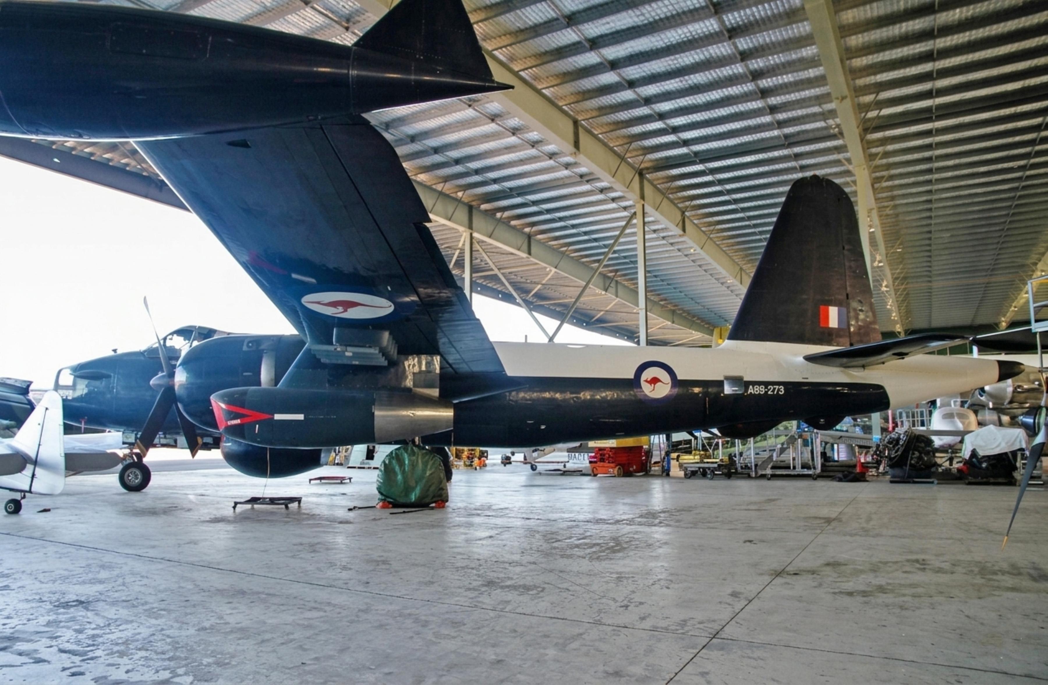 A89-273 @ YSHL - A89-273 1961 Lockheed Neptune SP-2H RAN HARS Illawarra 
 - by PhilR