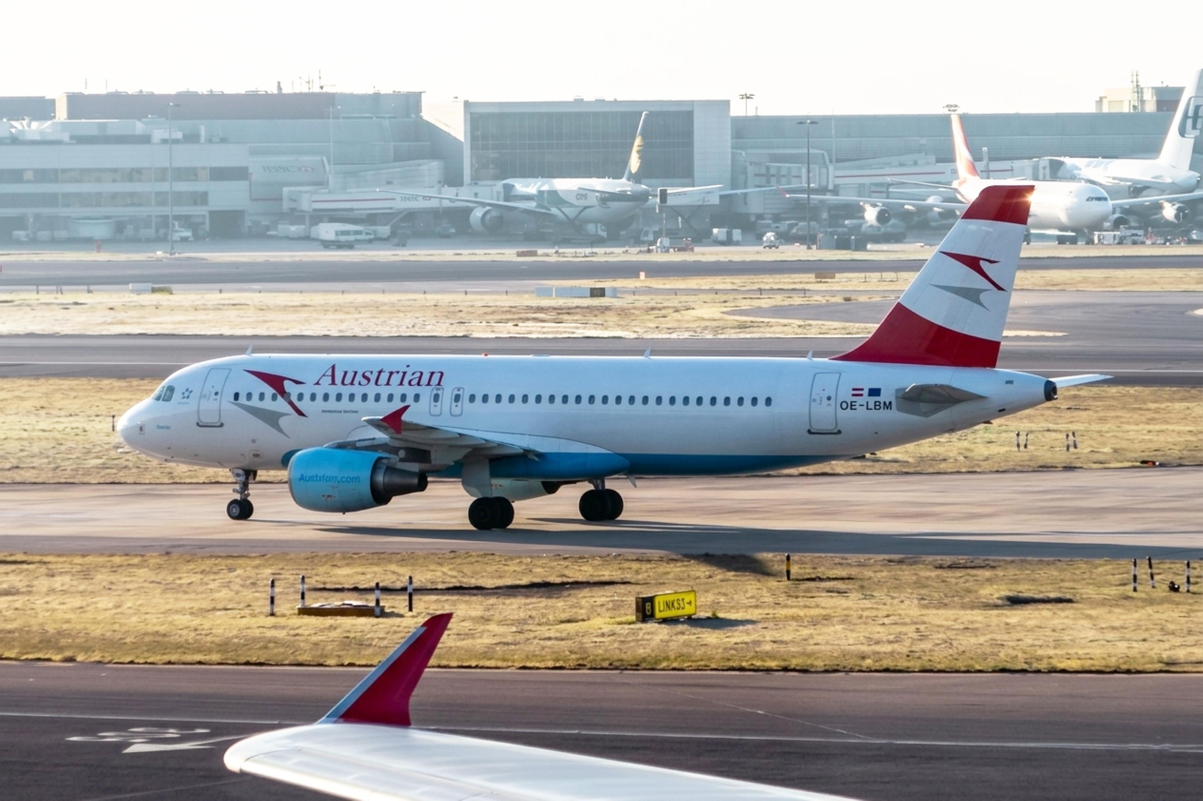 OE-LBM photo, click to enlarge