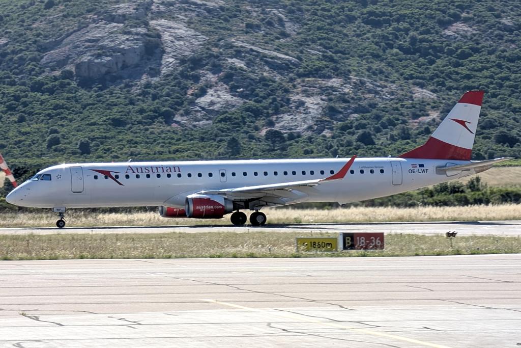 OE-LWF photo, click to enlarge