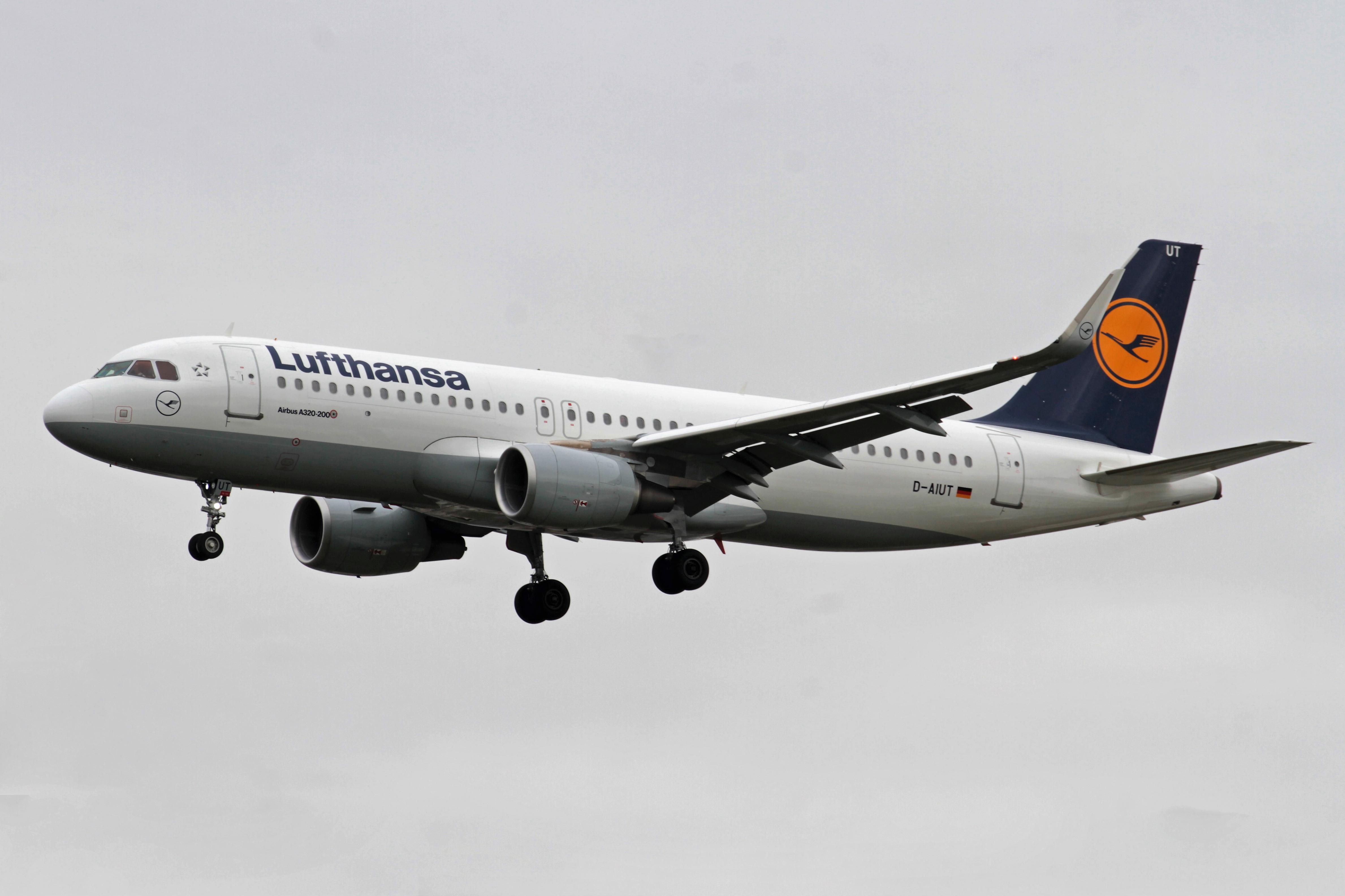 D-AIUT photo, click to enlarge