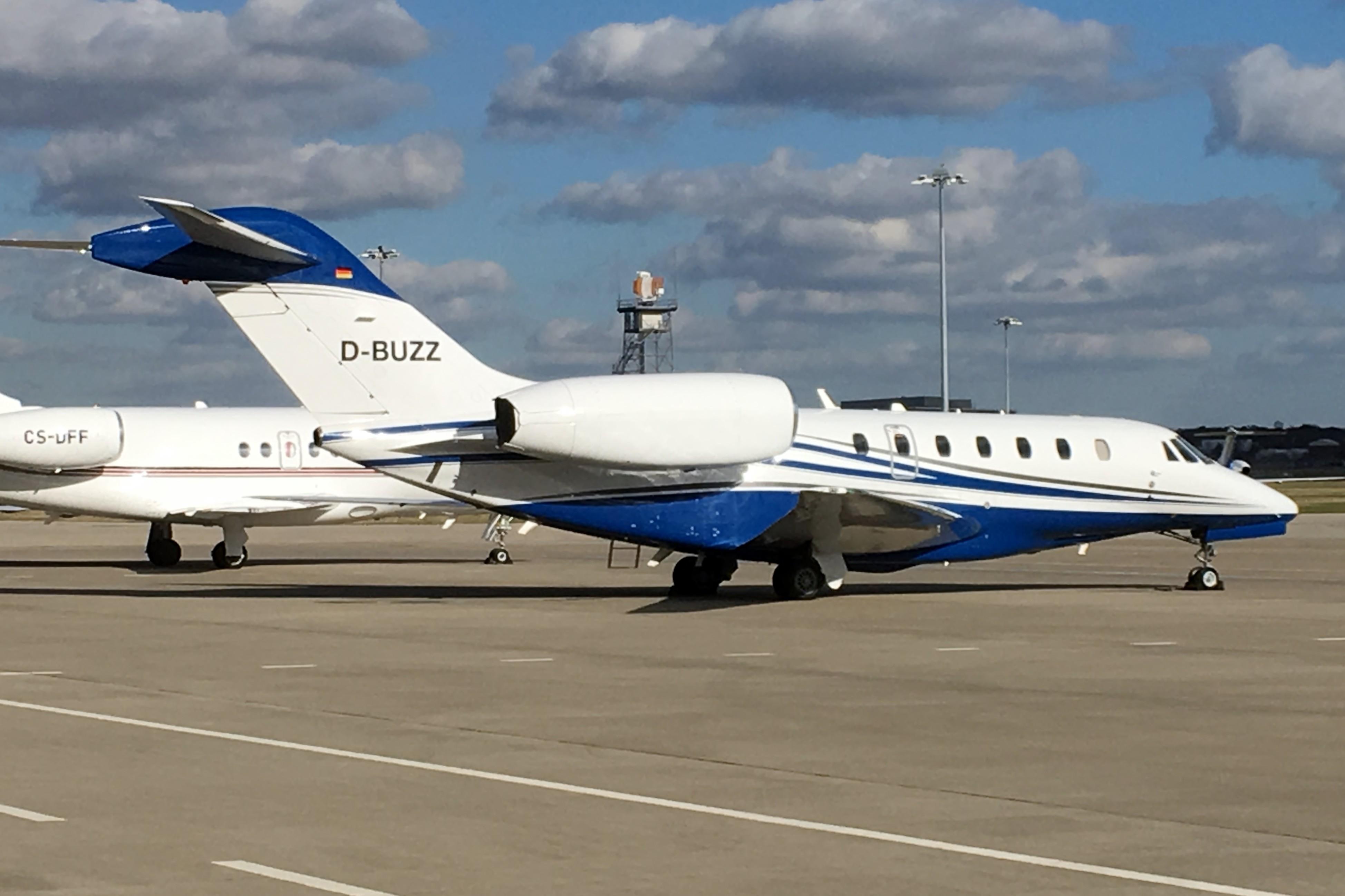 D-BUZZ photo, click to enlarge