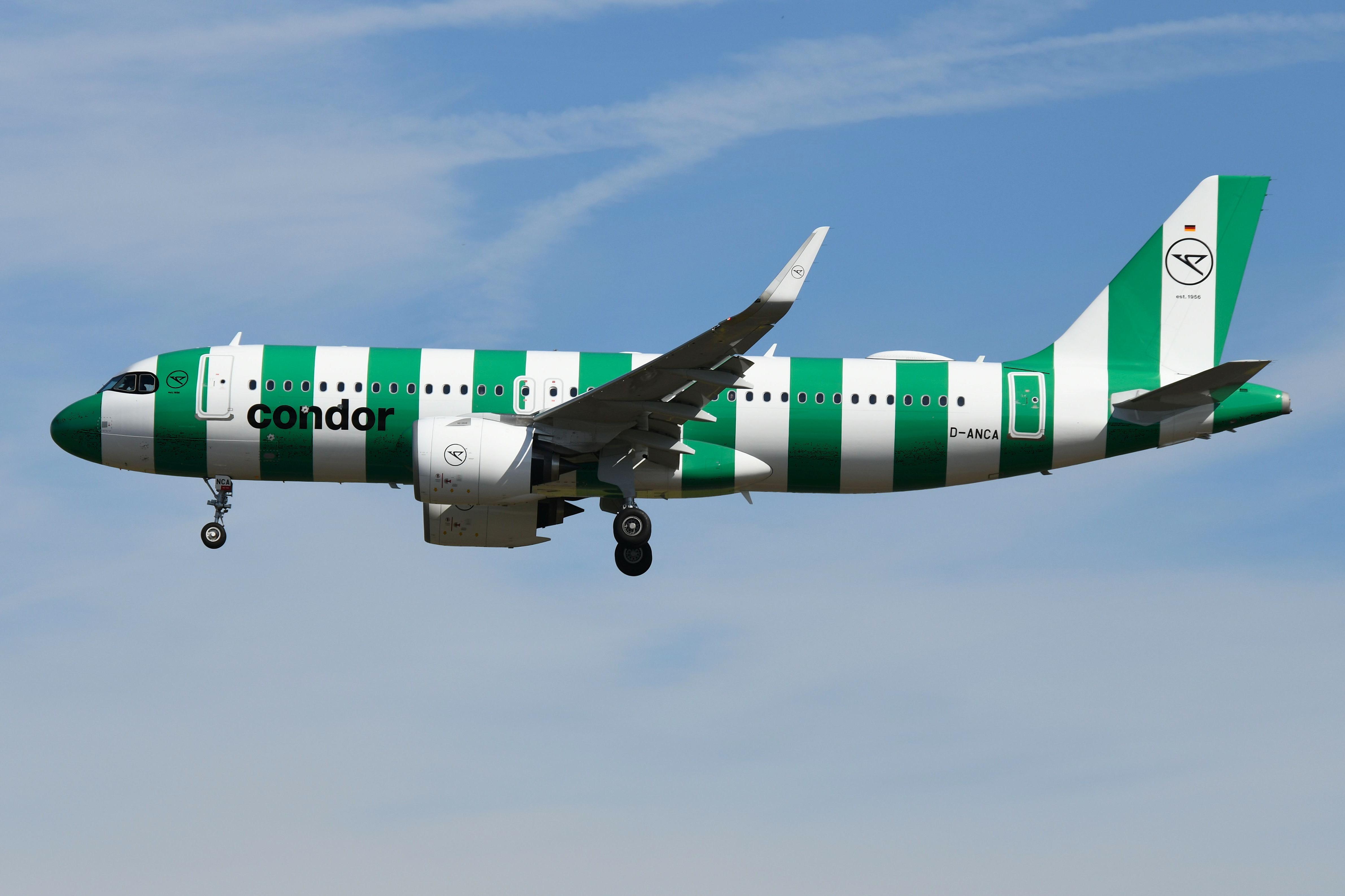 D-ANCA photo, click to enlarge