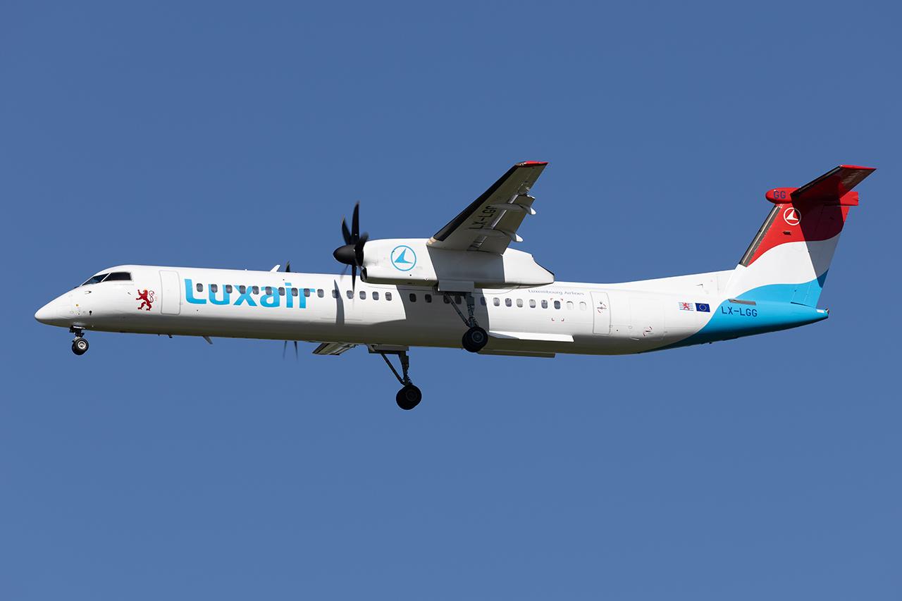 LX-LGG photo, click to enlarge