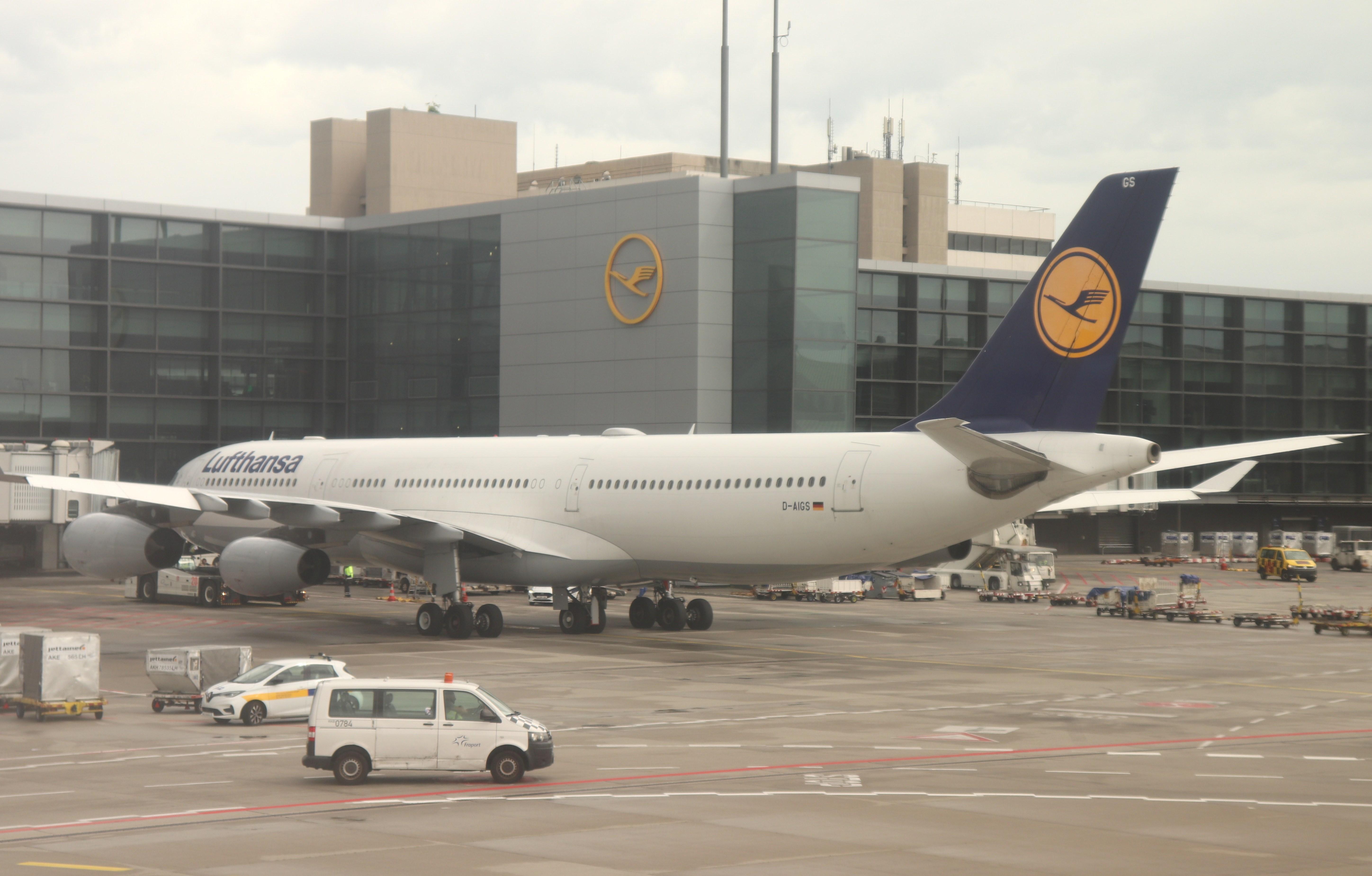 D-AIGS photo, click to enlarge