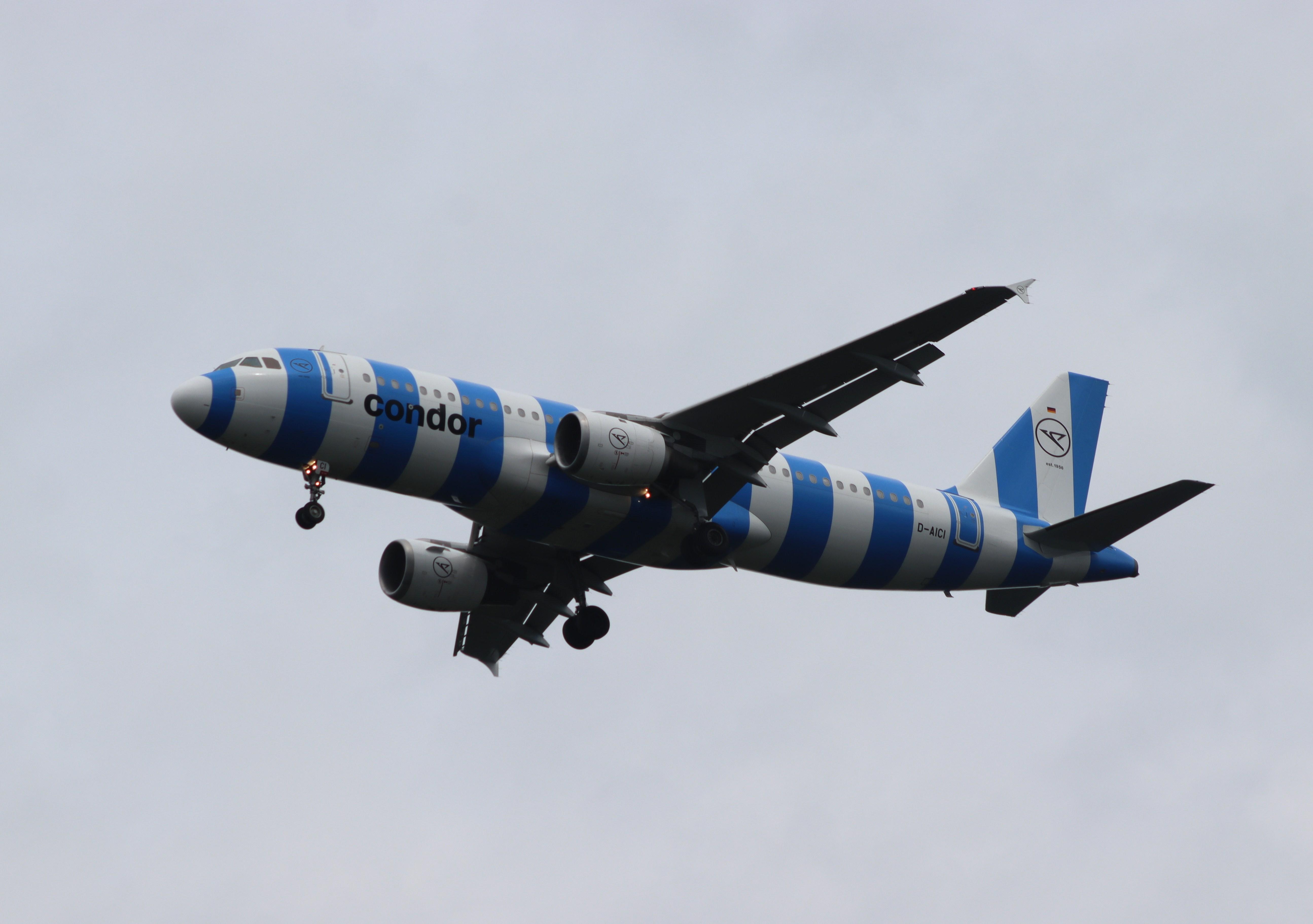 D-AICI photo, click to enlarge