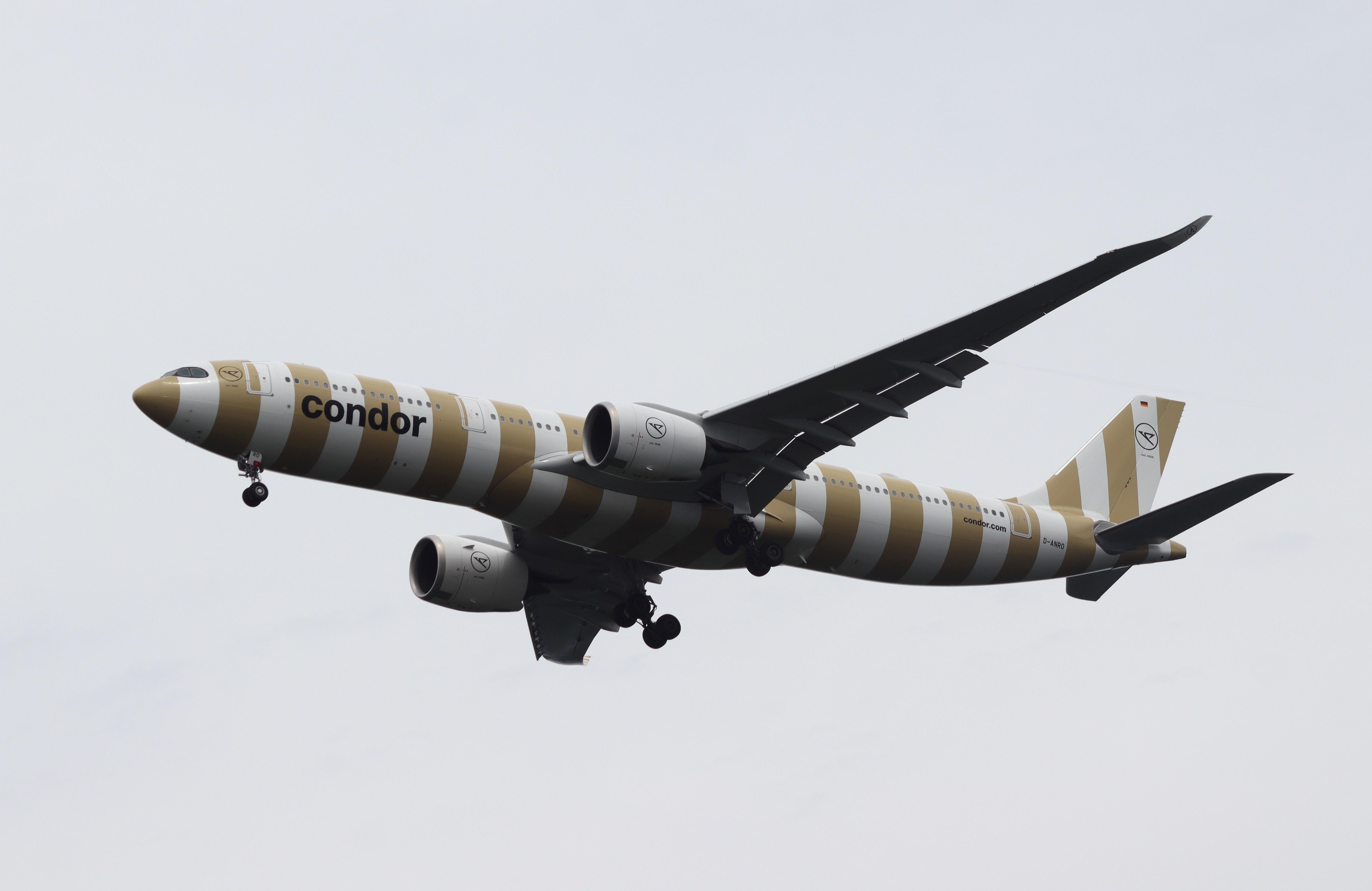 D-ANRO photo, click to enlarge