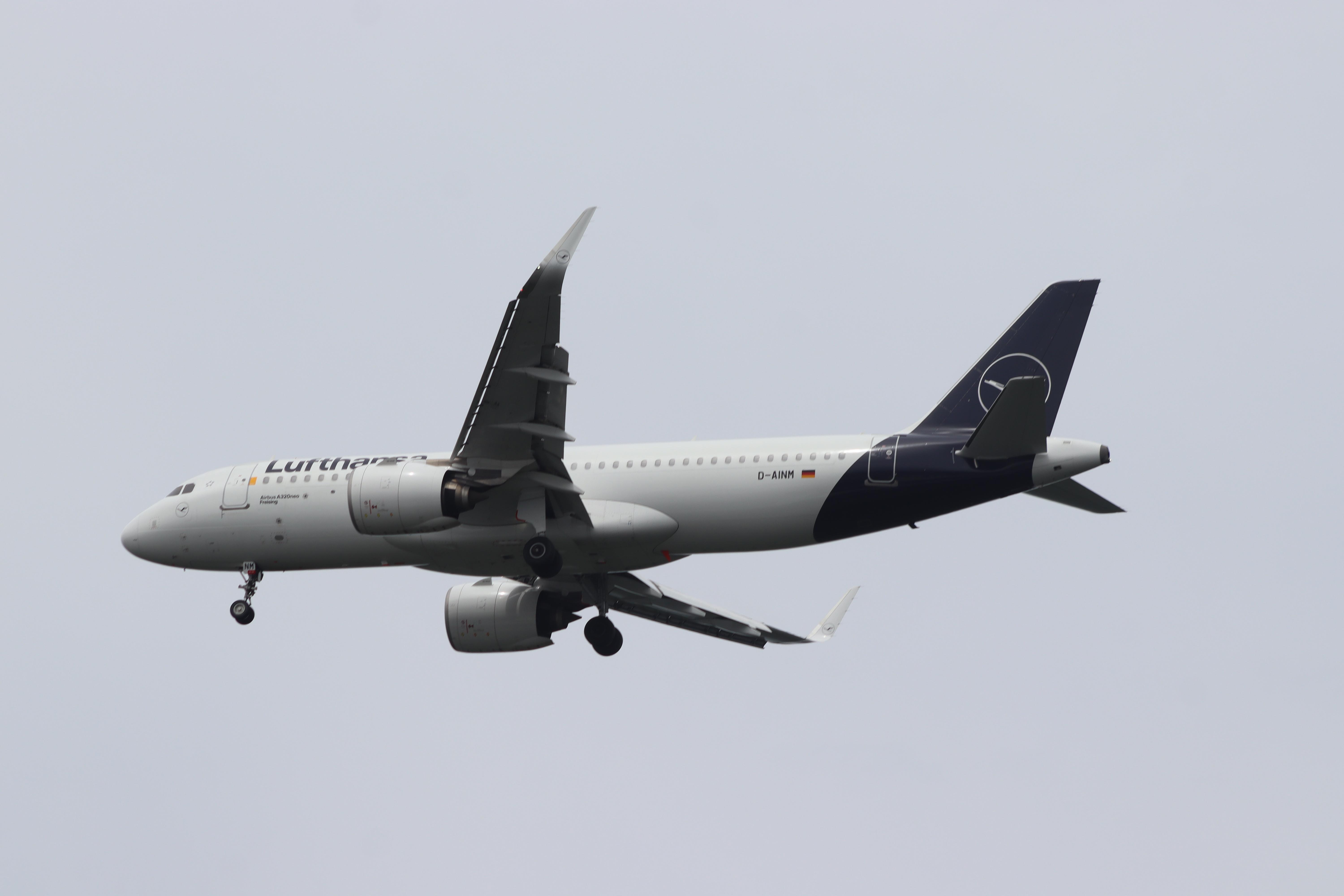 D-AINM photo, click to enlarge