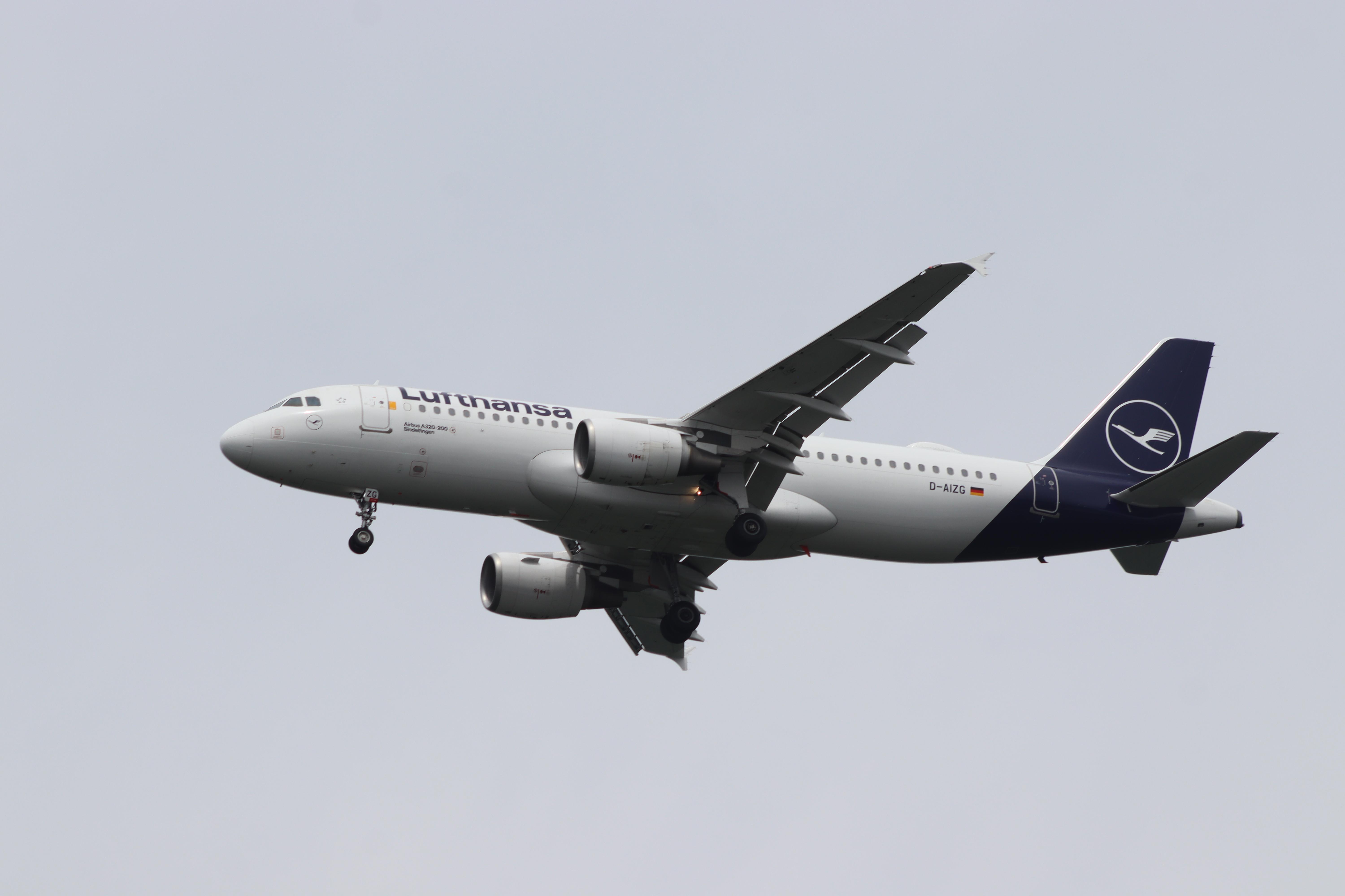 D-AIZG photo, click to enlarge