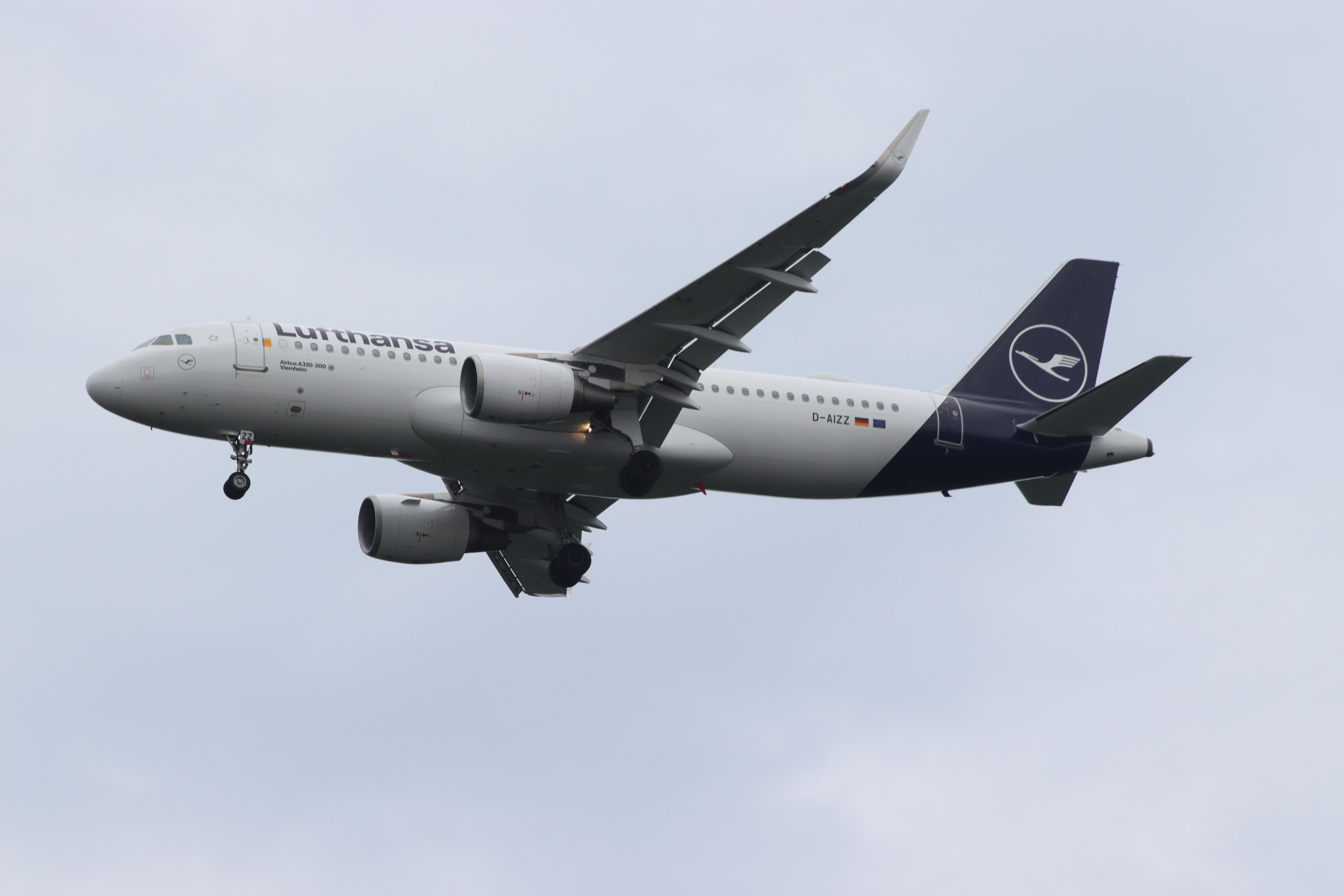 D-AIZZ photo, click to enlarge