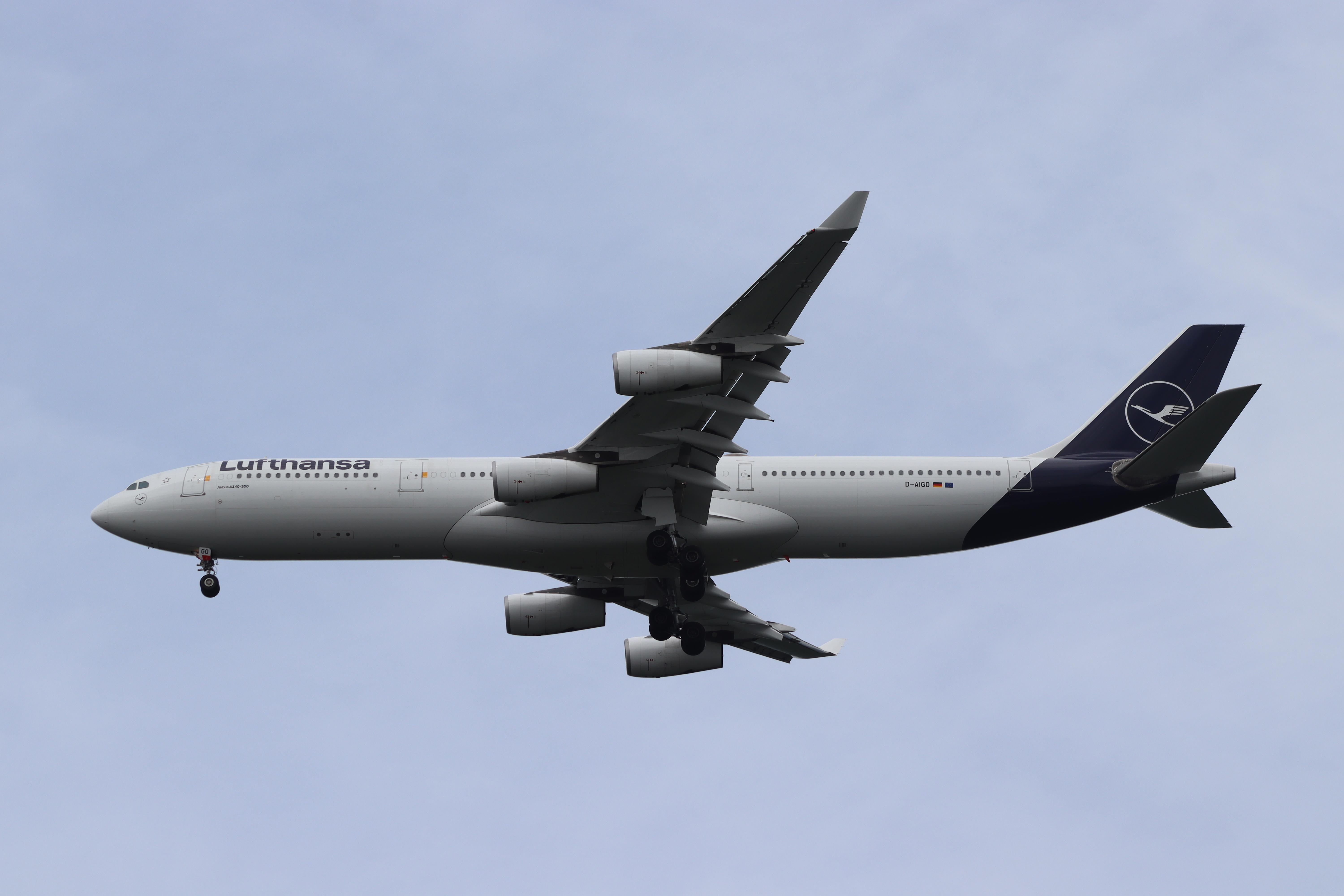 D-AIGO @ EDDF - Airbus A340-313X - by MarkPasqualino