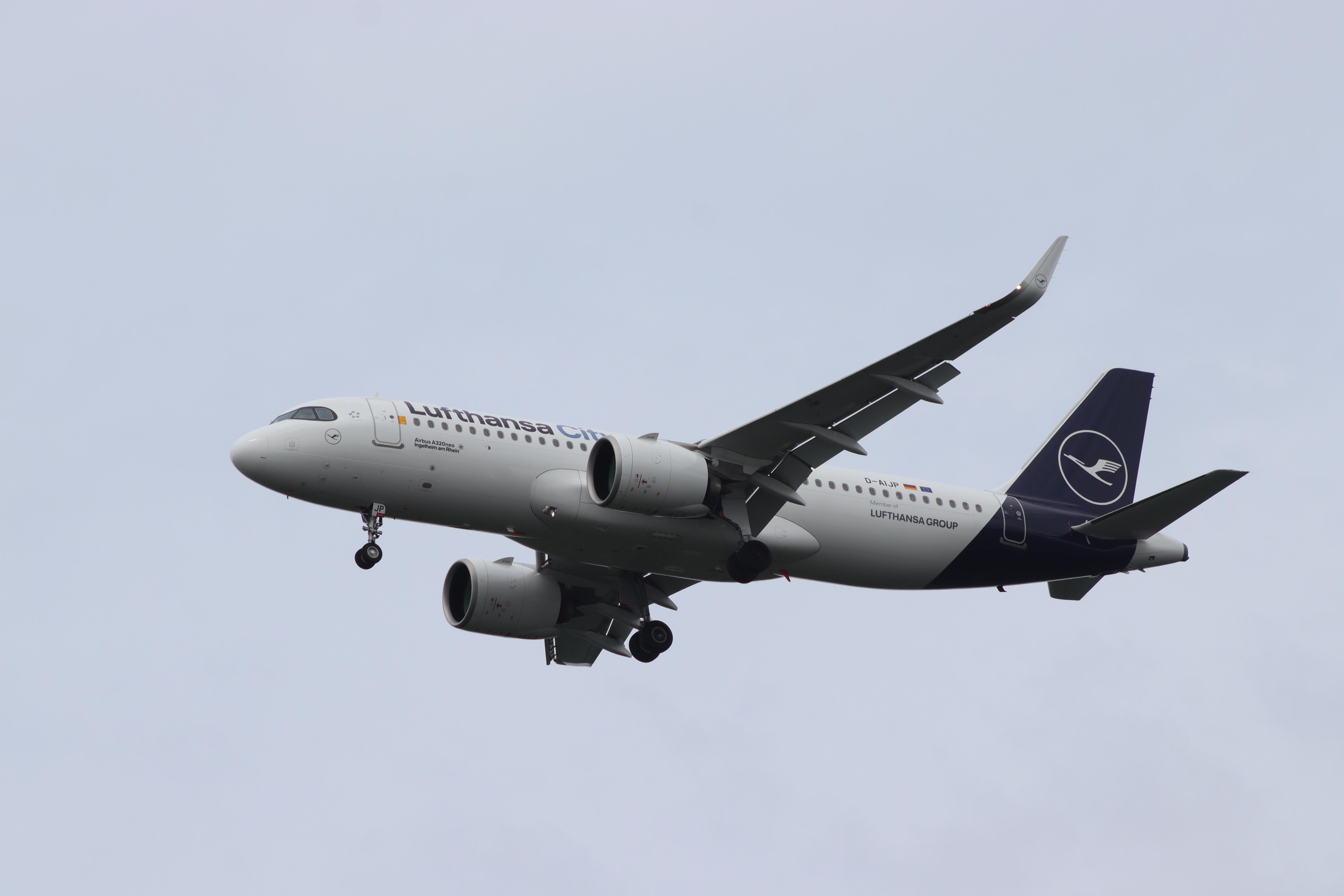 D-AIJP photo, click to enlarge