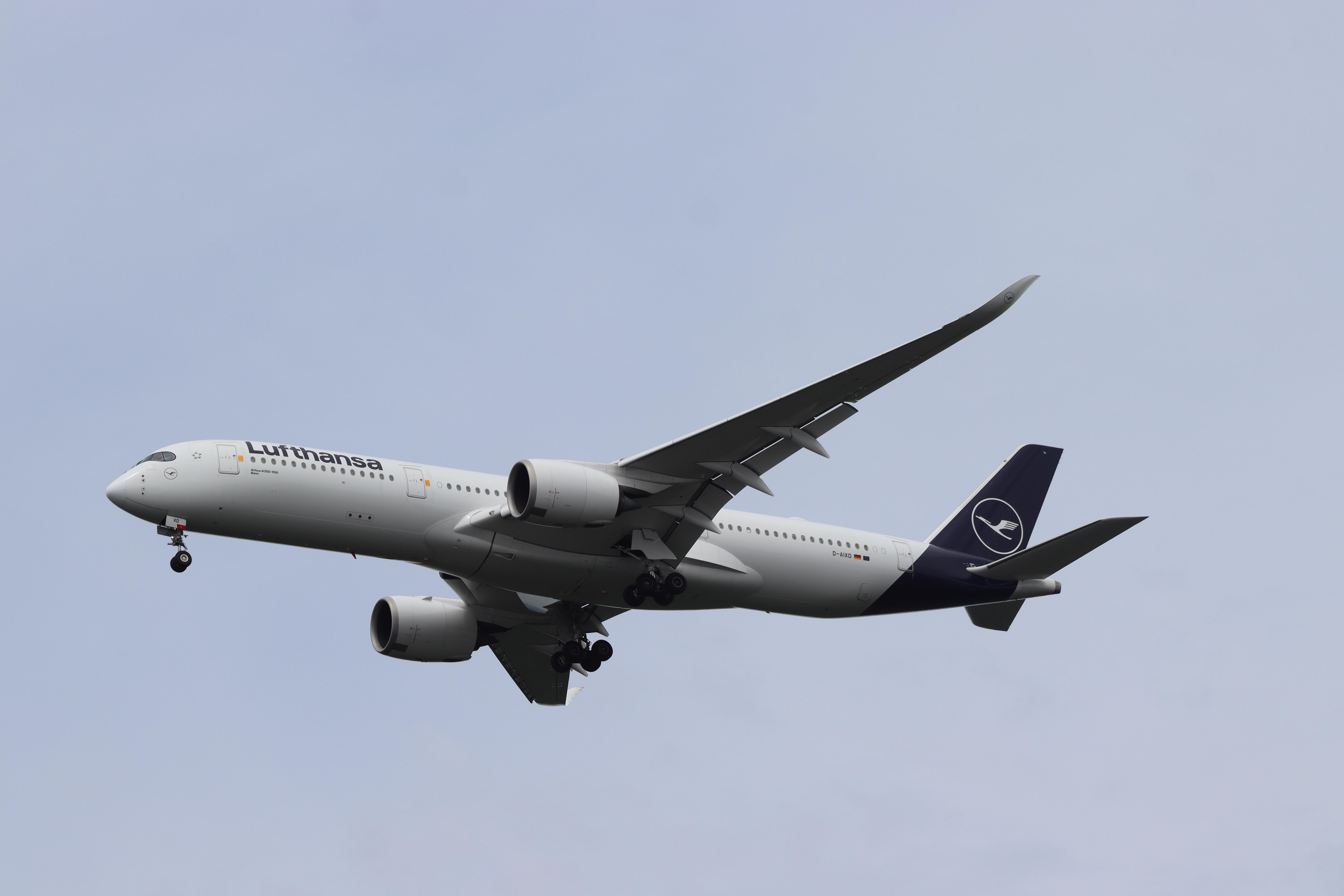 D-AIXD photo, click to enlarge