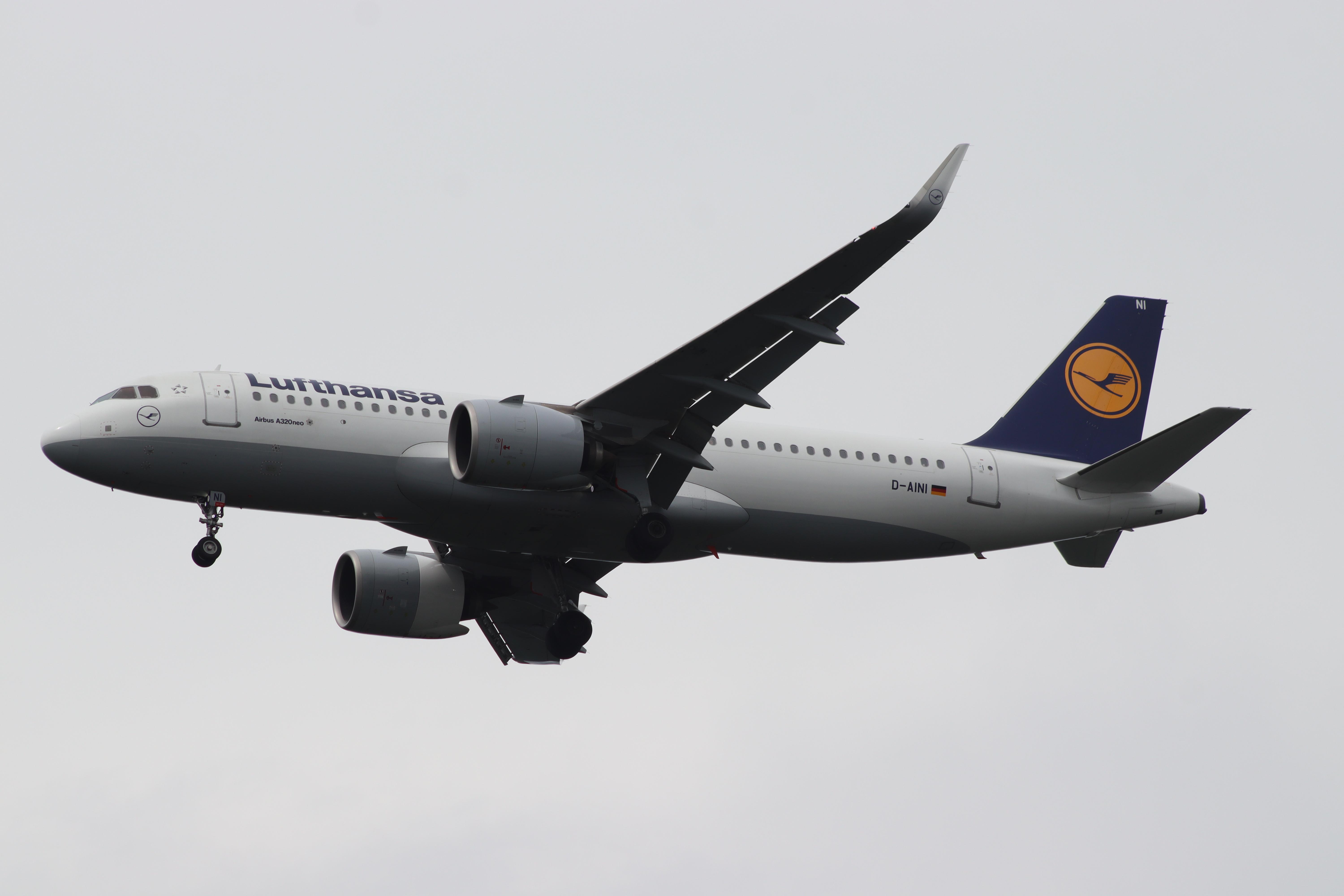 D-AINI photo, click to enlarge
