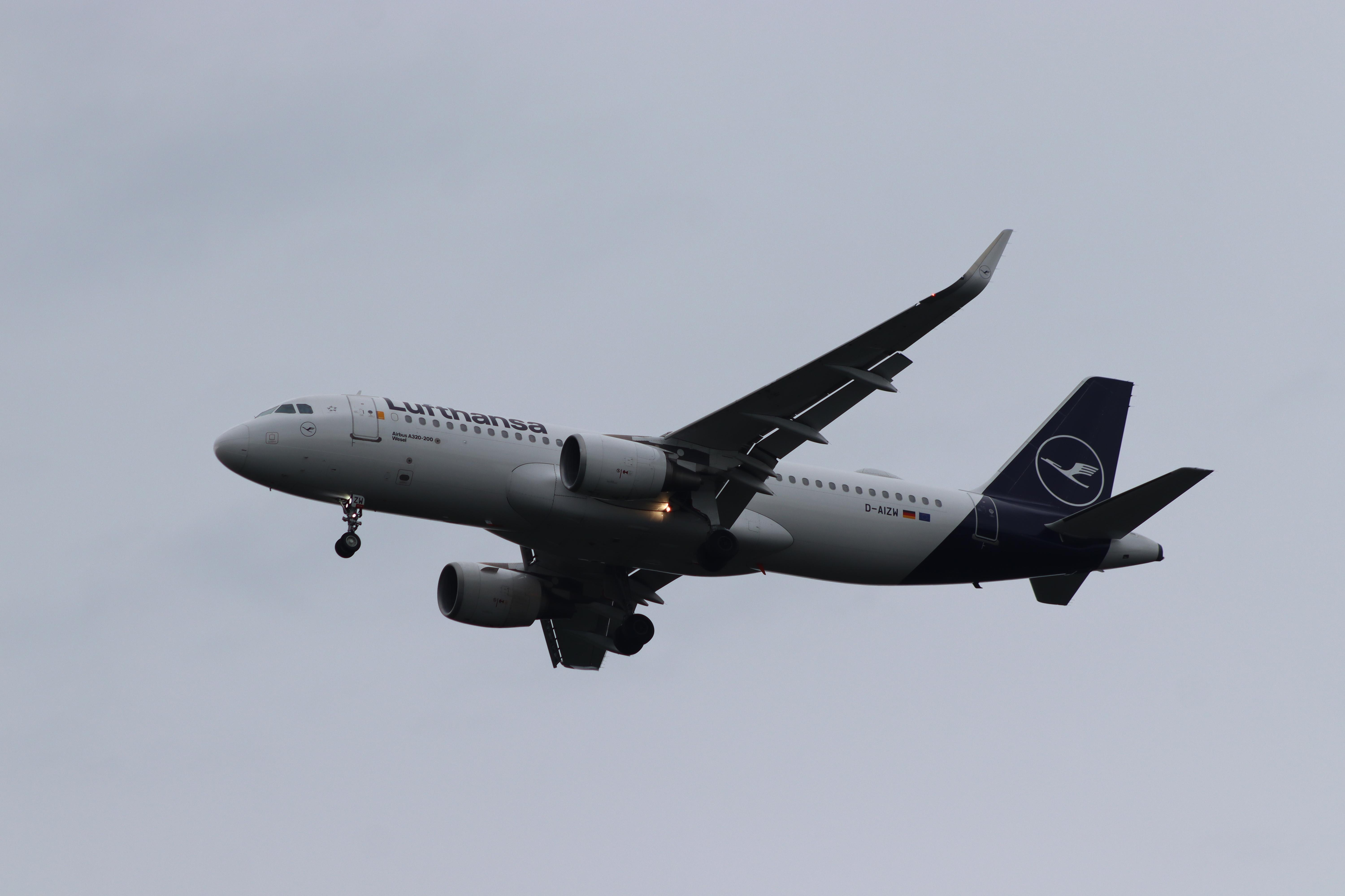 D-AIZW photo, click to enlarge