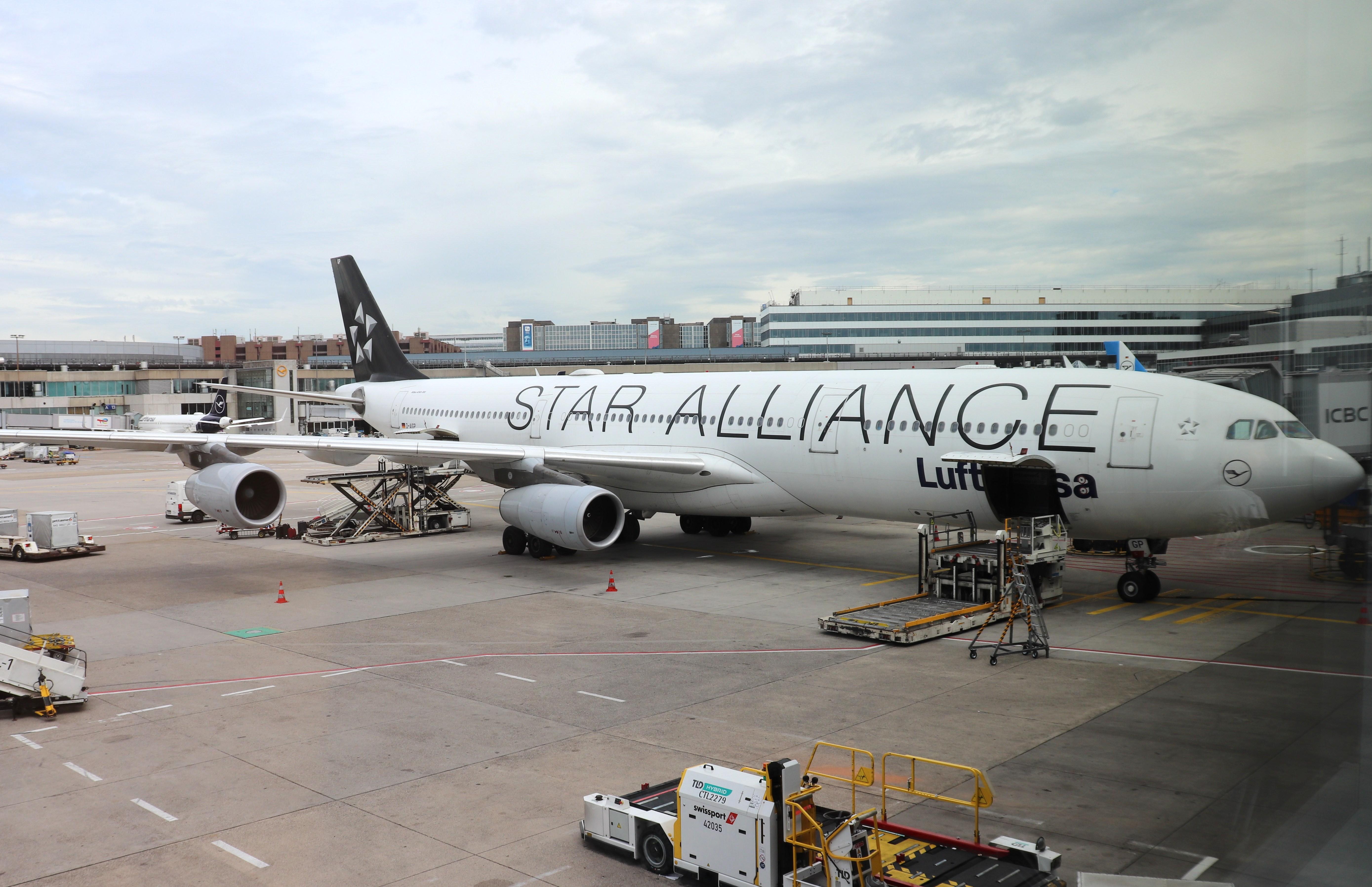 D-AIGP @ EDDF - Airbus A340-313X - by MarkPasqualino