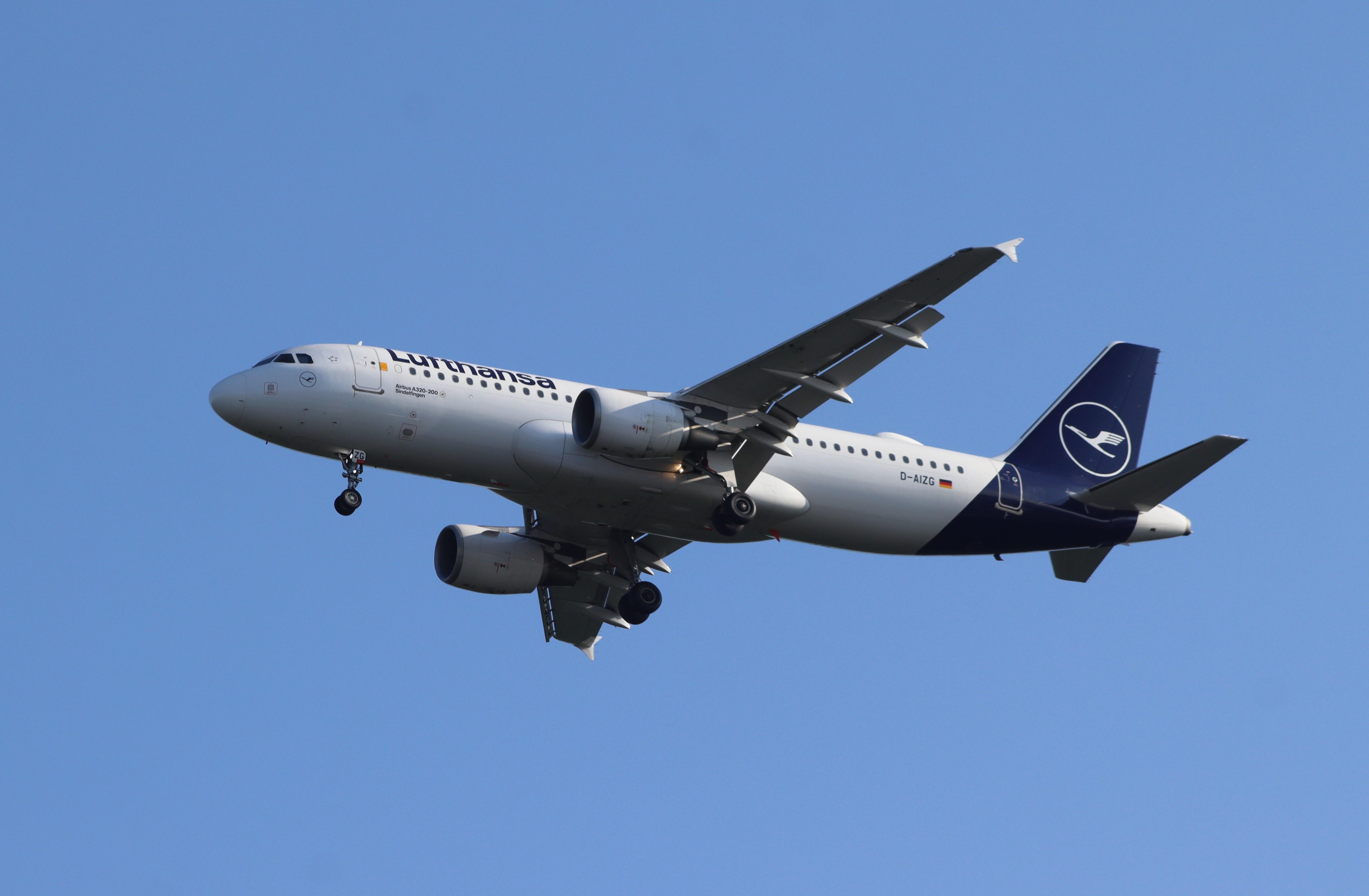 D-AIZG photo, click to enlarge