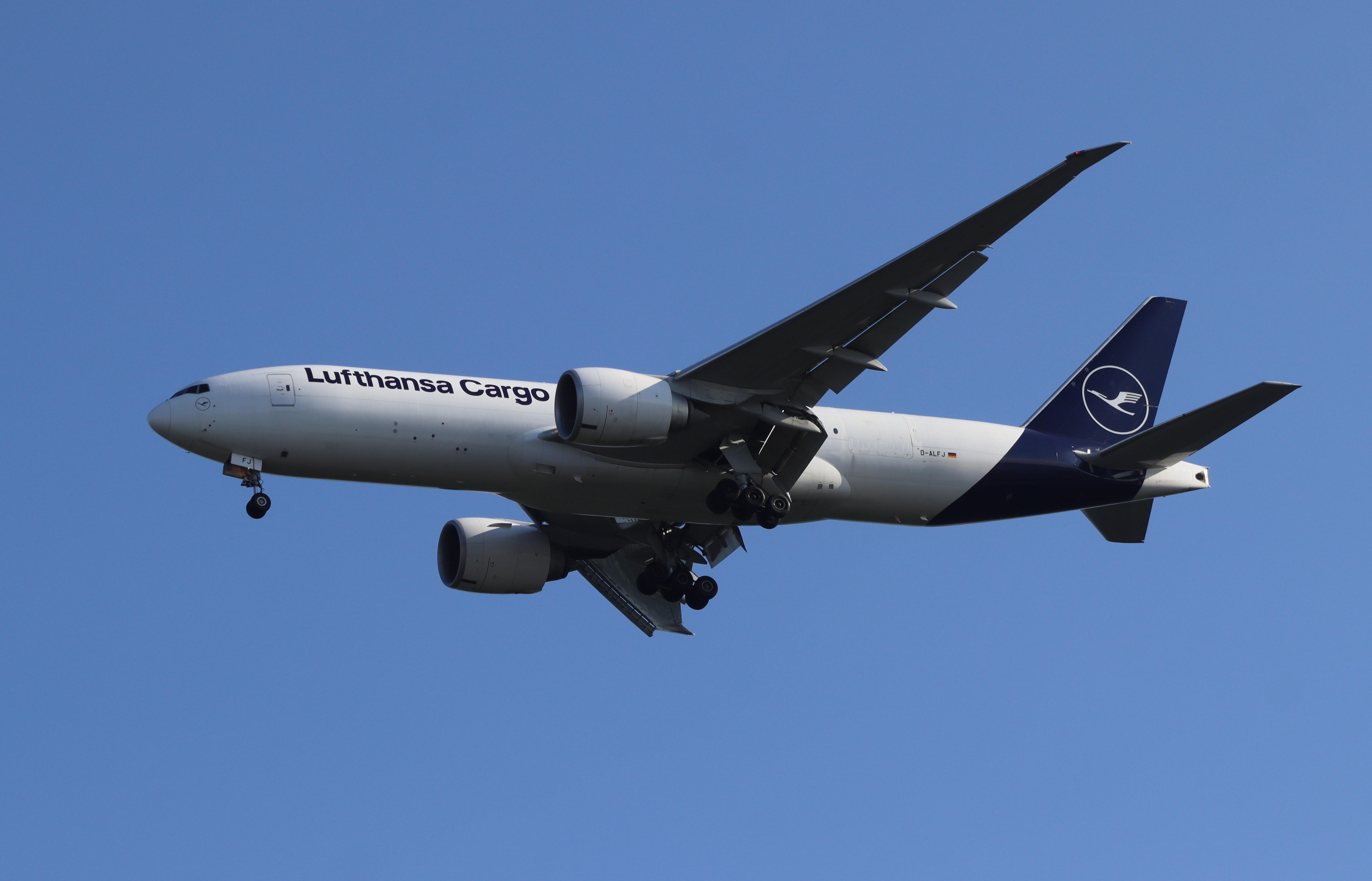 D-ALFJ photo, click to enlarge