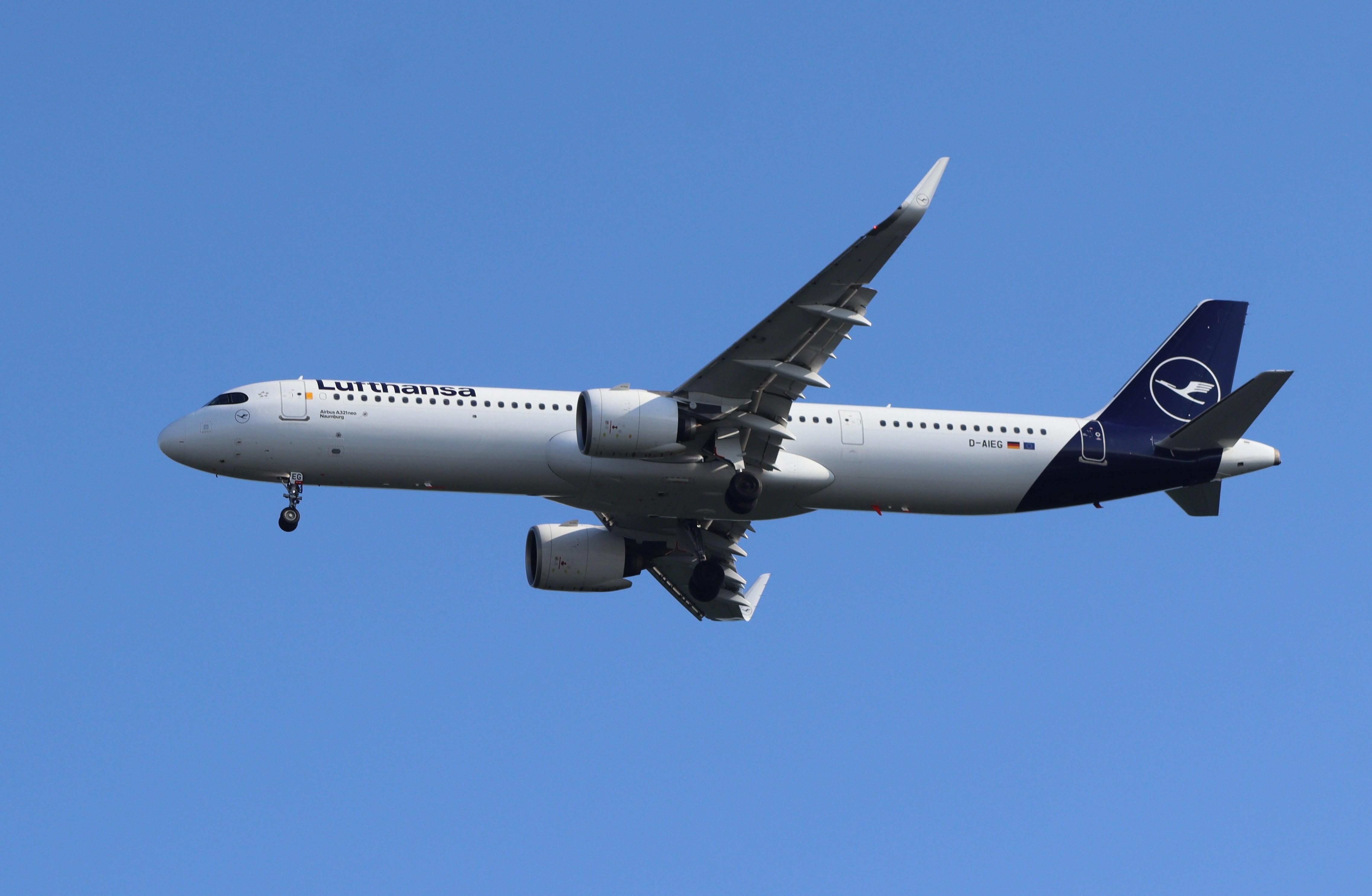 D-AIEG photo, click to enlarge