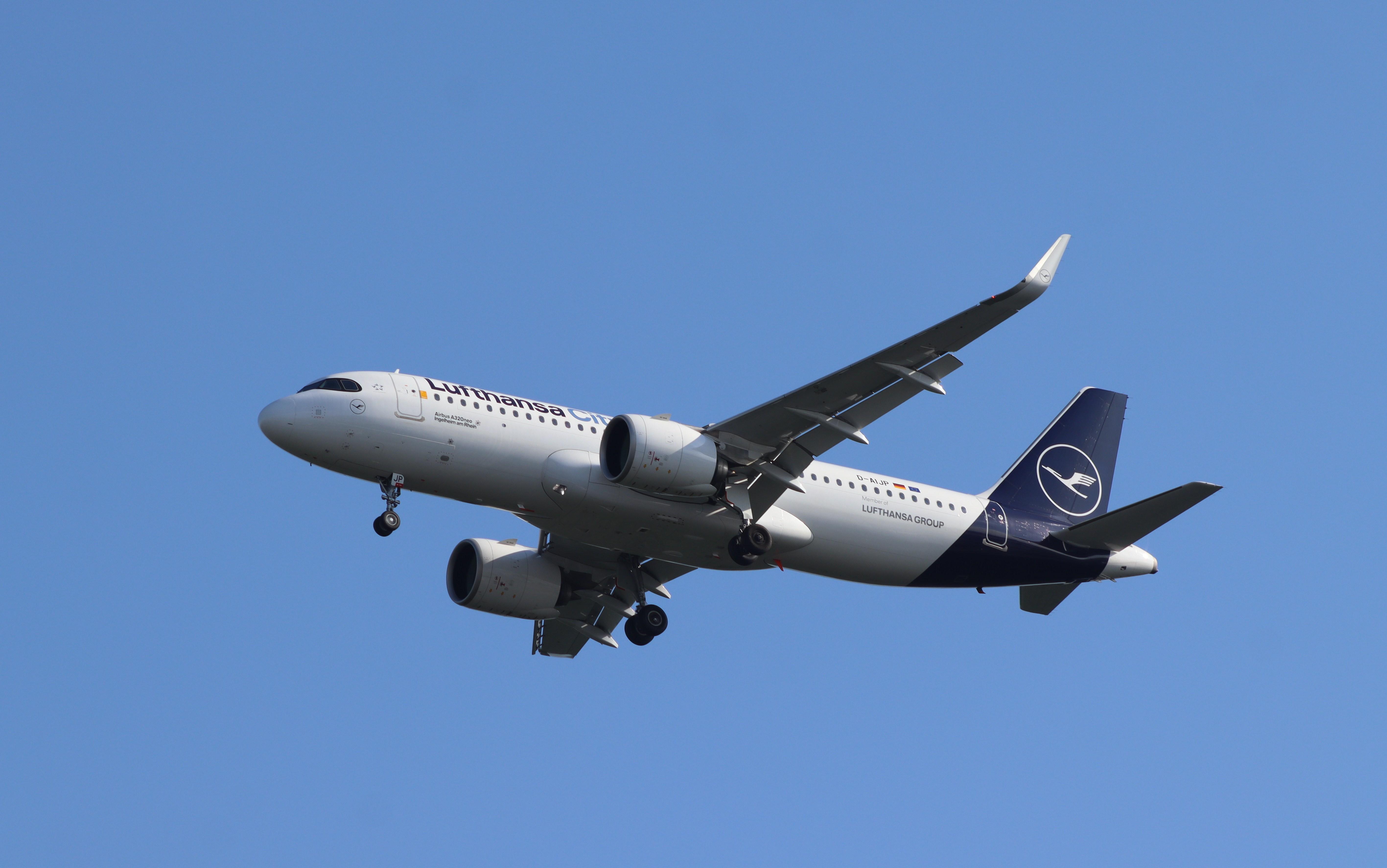 D-AIJP photo, click to enlarge