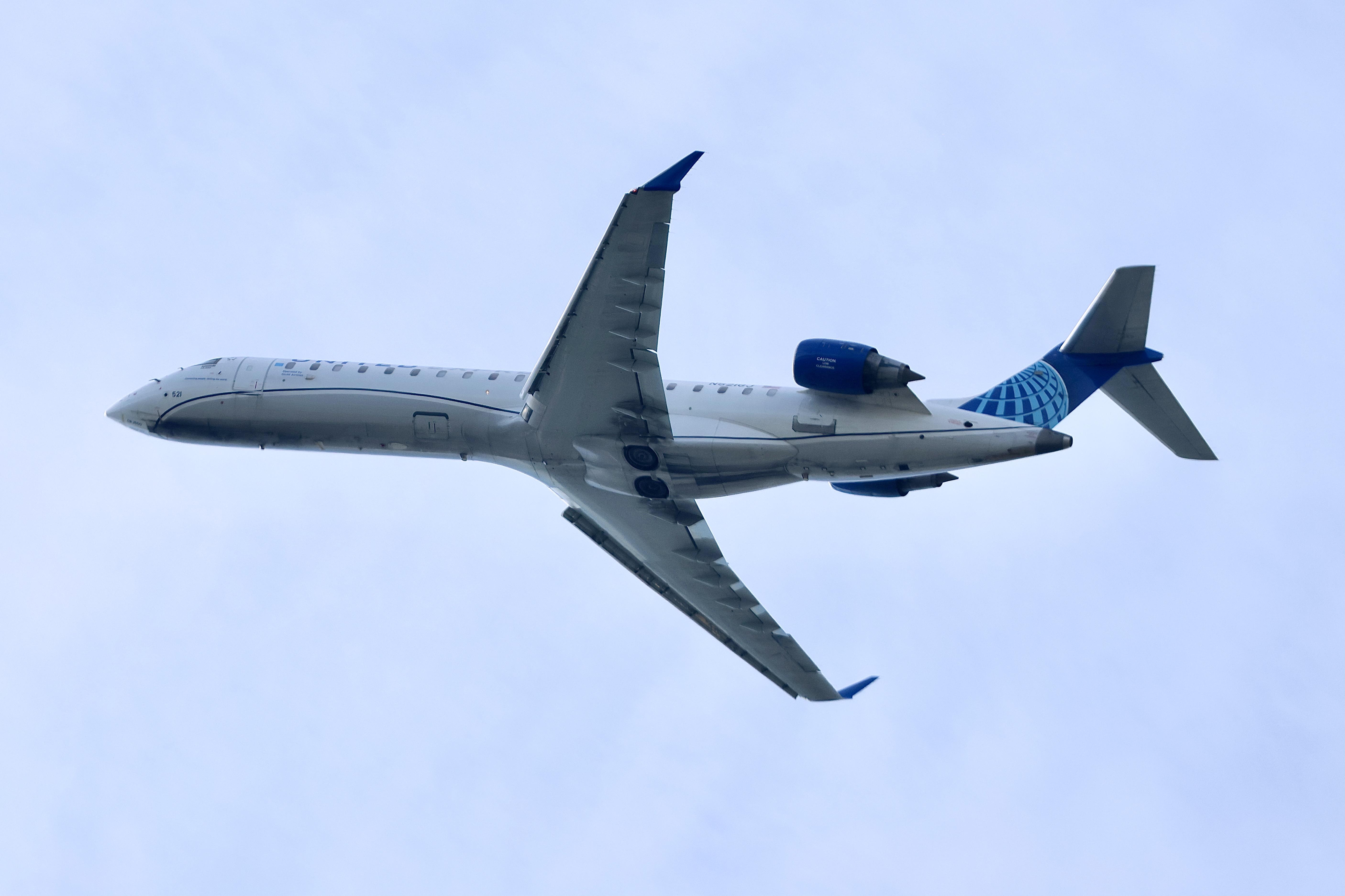 N521GJ photo, click to enlarge