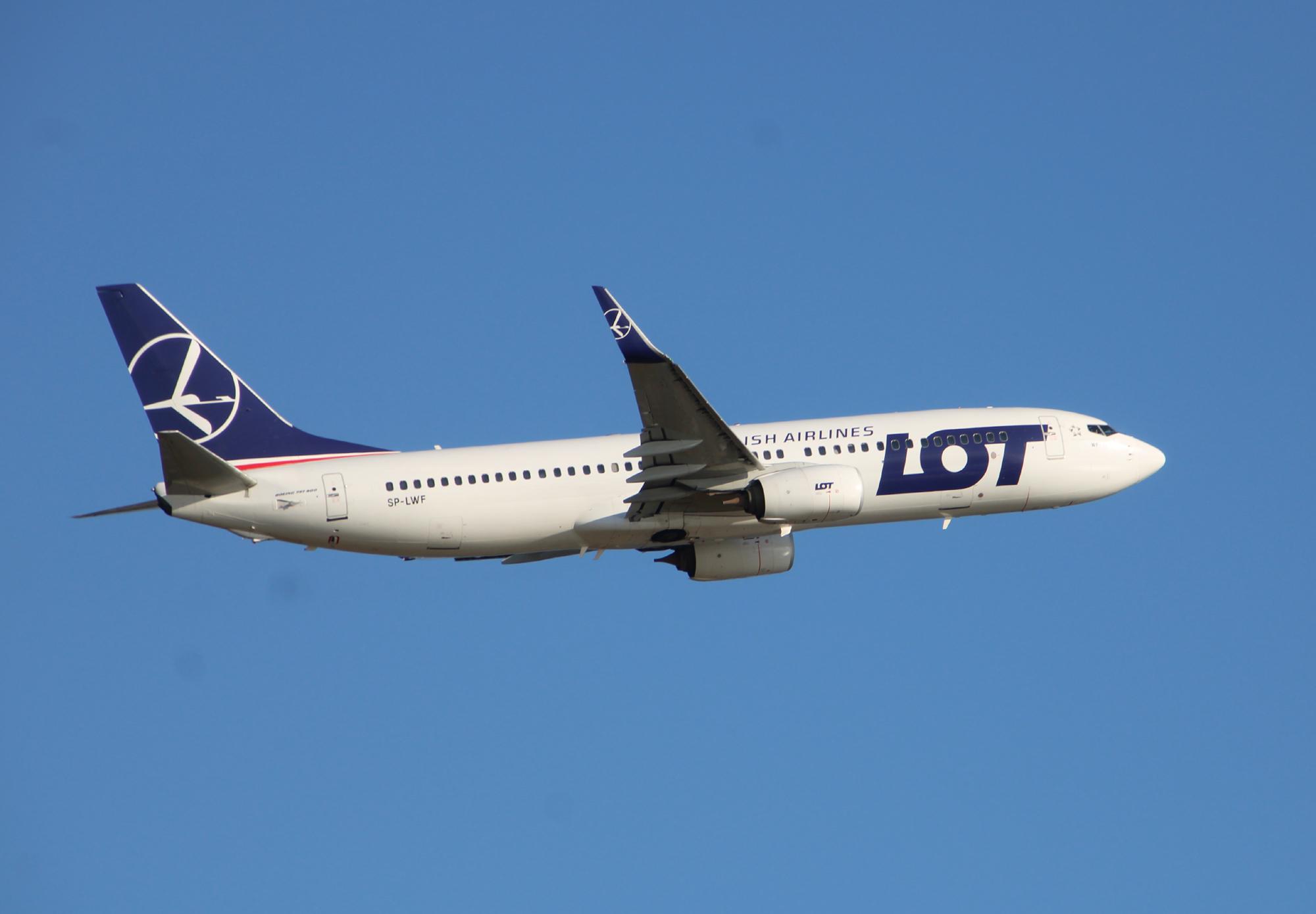 SP-LWF photo, click to enlarge
