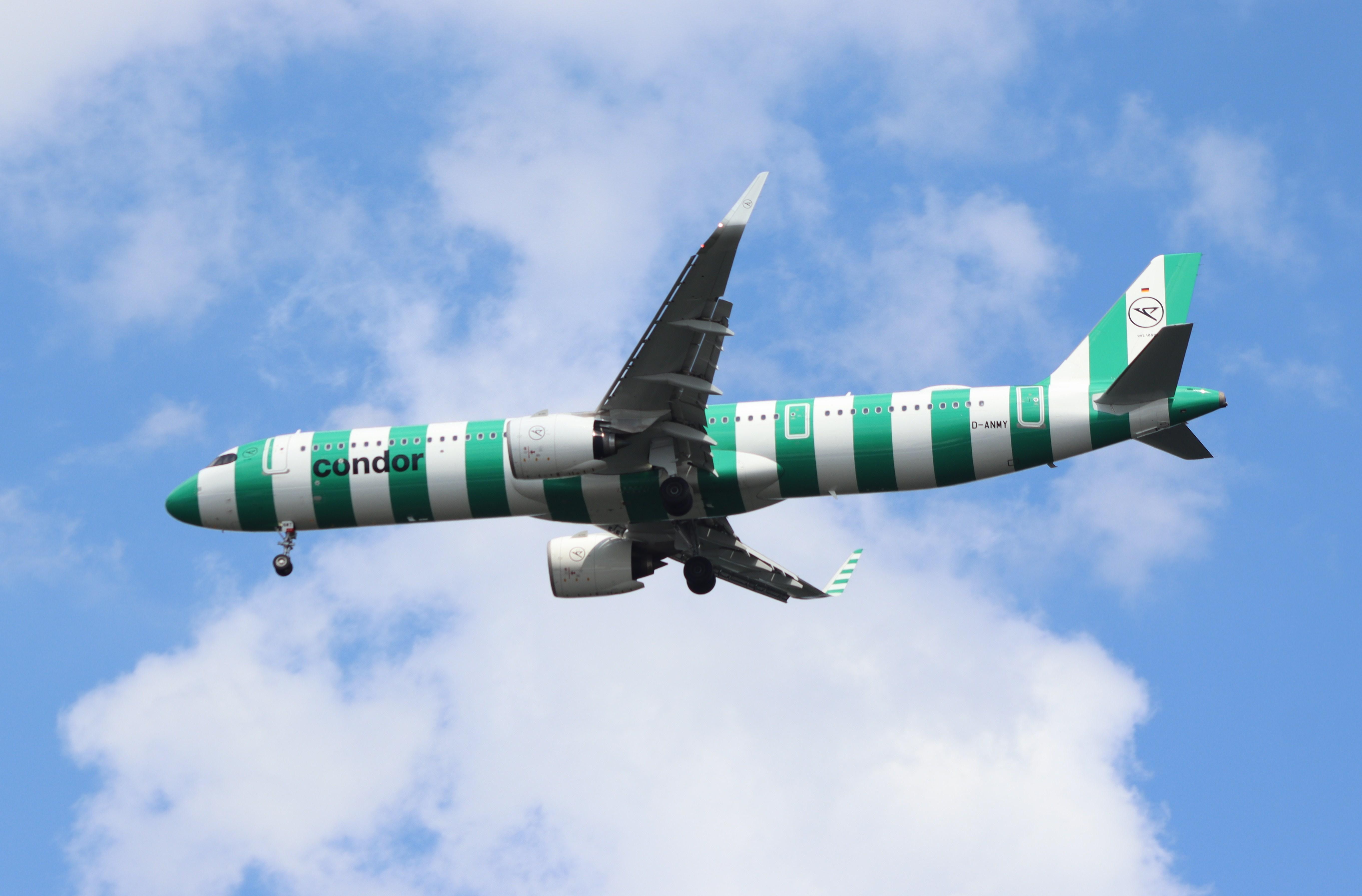 D-ANMY photo, click to enlarge