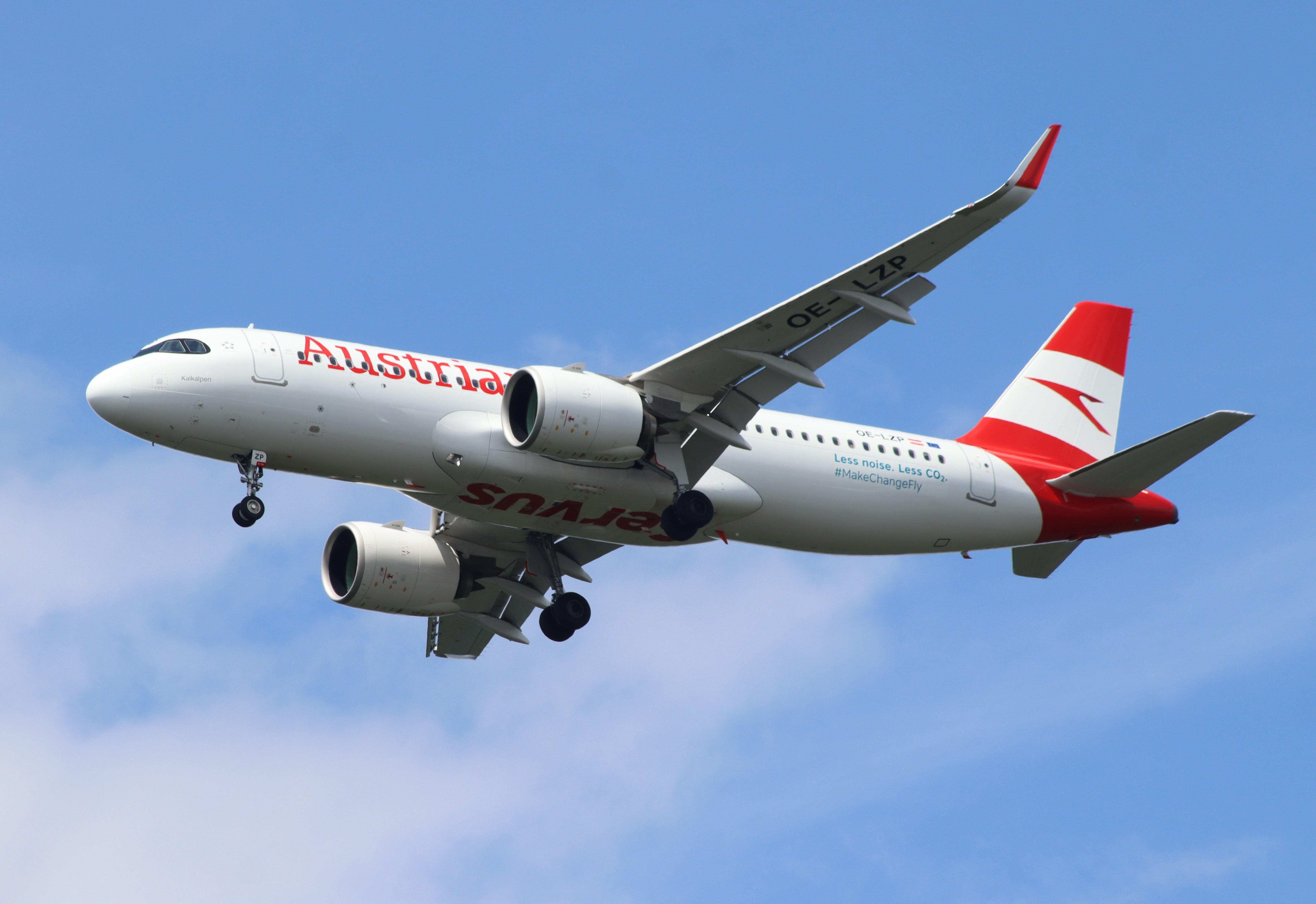 OE-LZP photo, click to enlarge