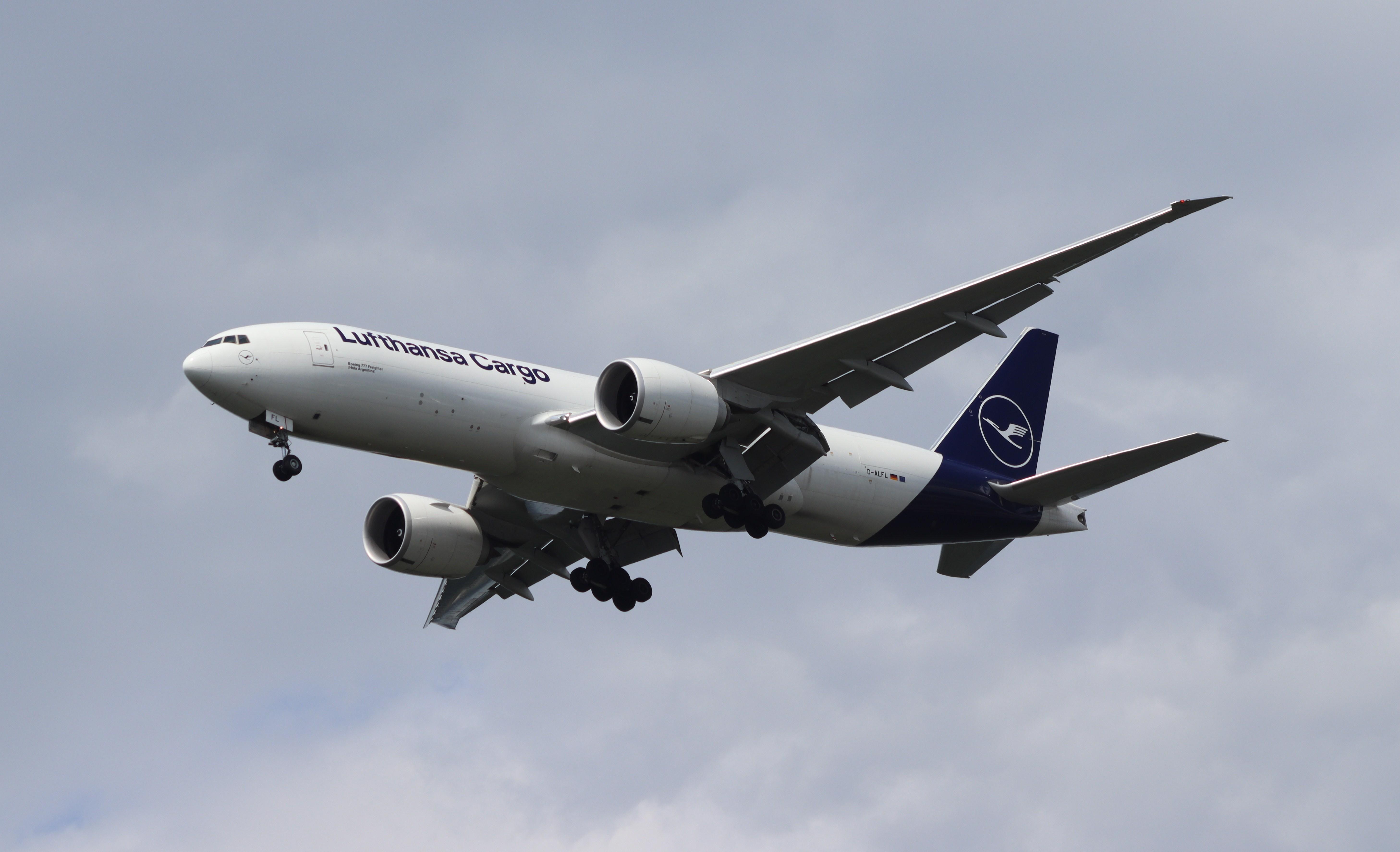D-ALFL photo, click to enlarge