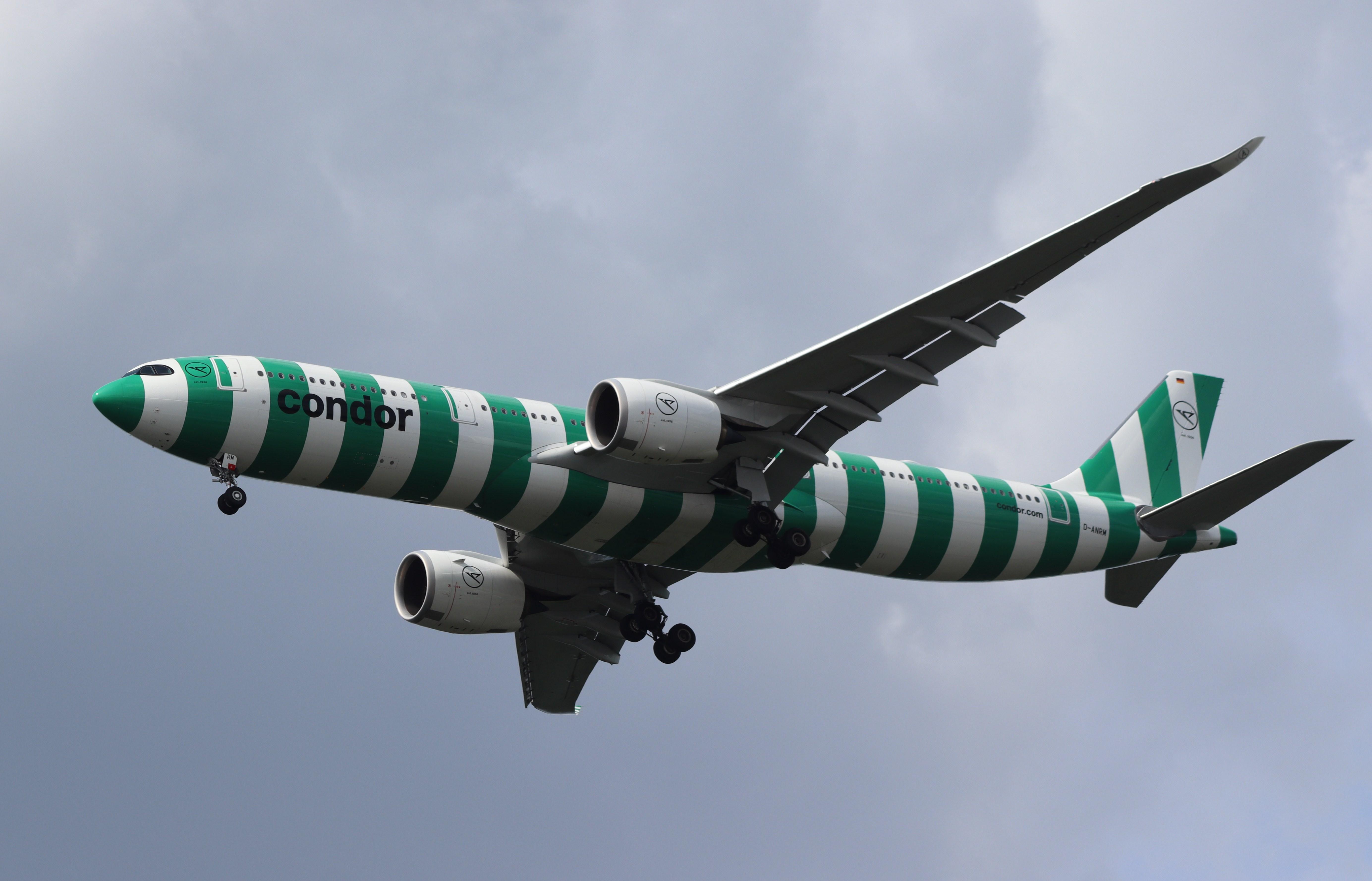 D-ANRM photo, click to enlarge