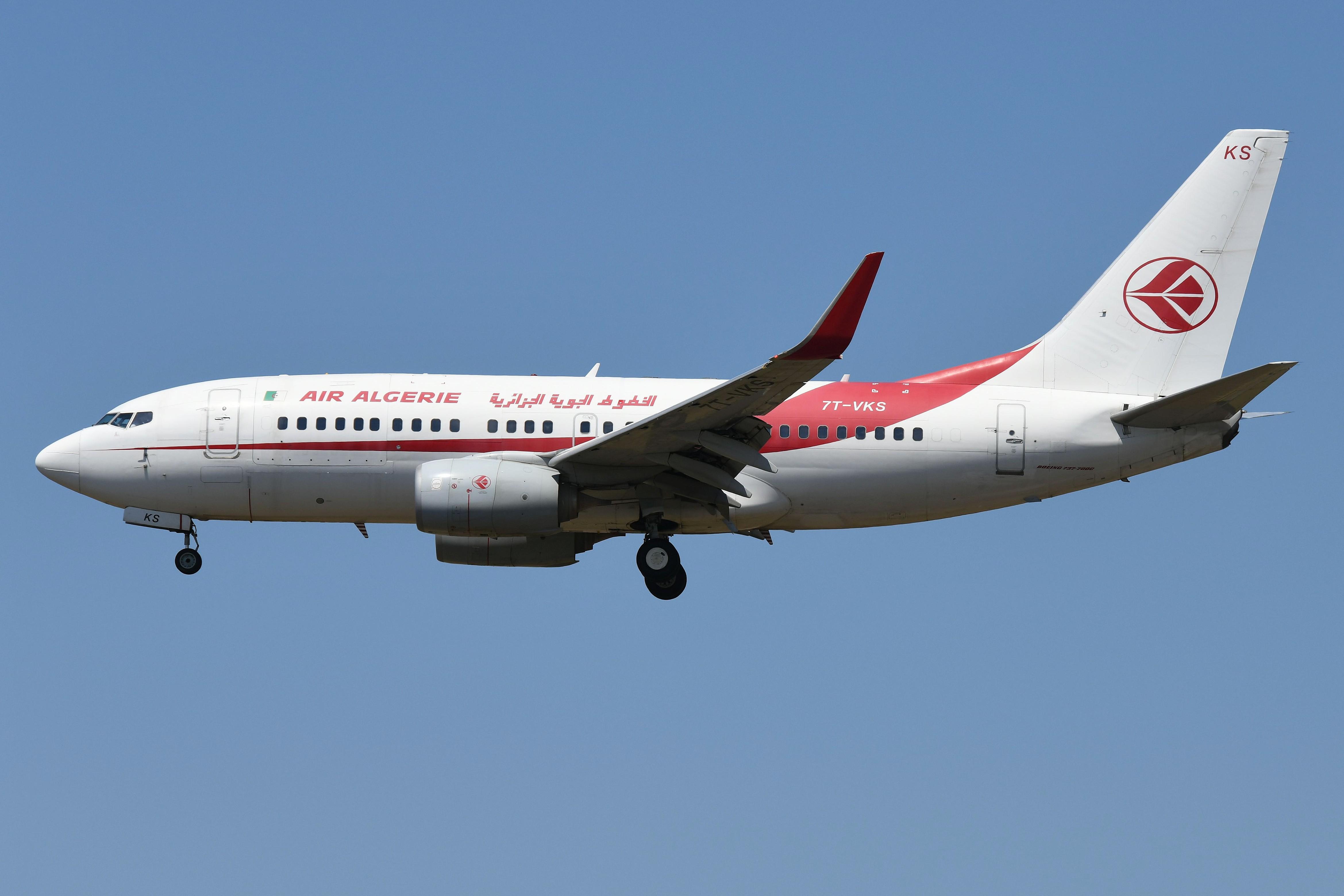 7T-VKS @ EDDF - Air Algerie B737 landning - by FerryPNL